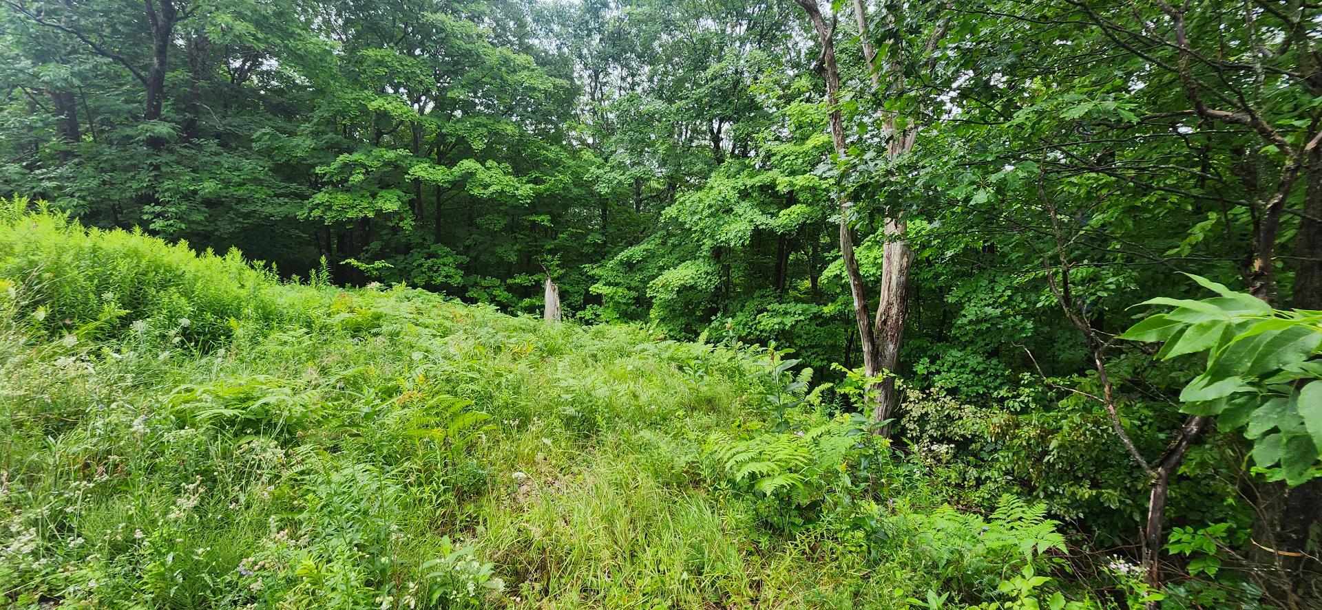 Land/Lot