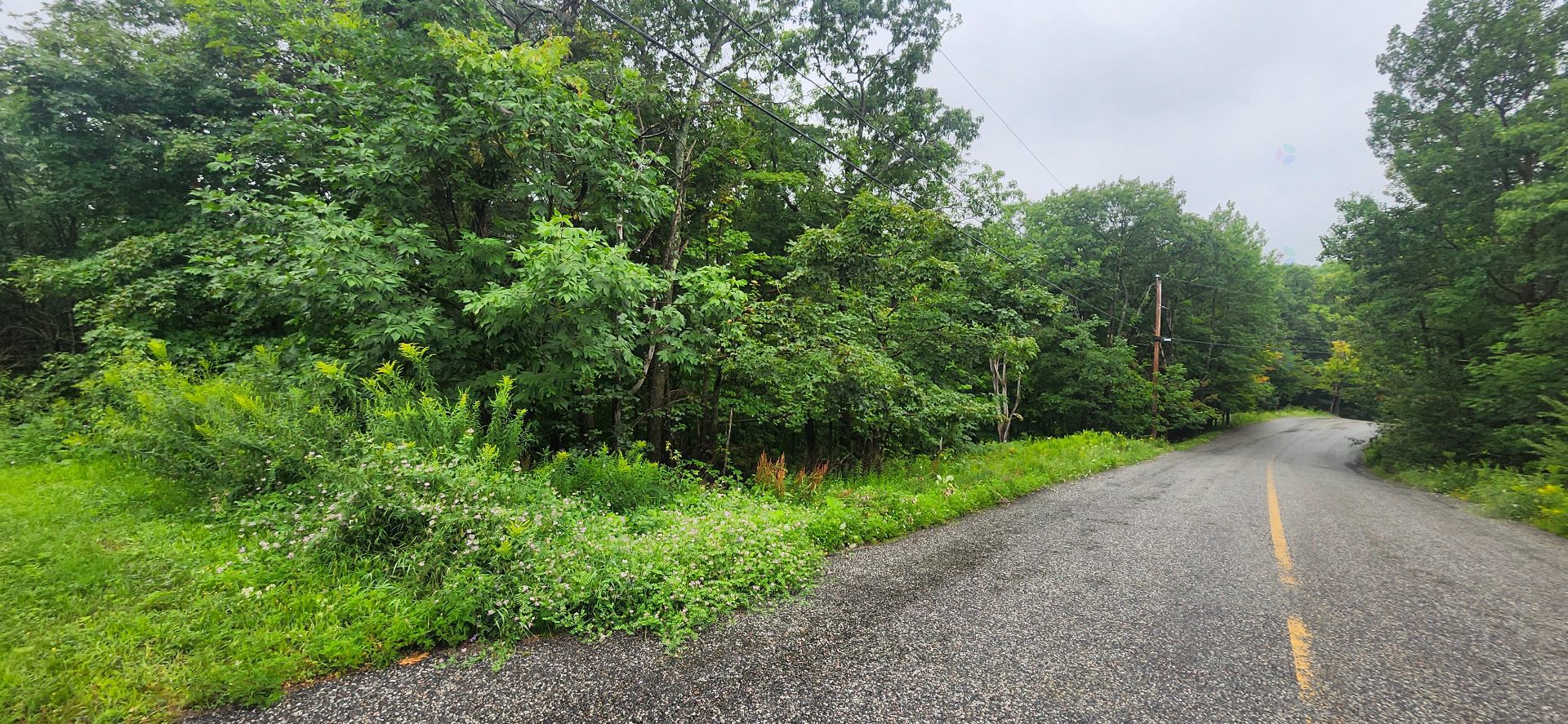 Overall view