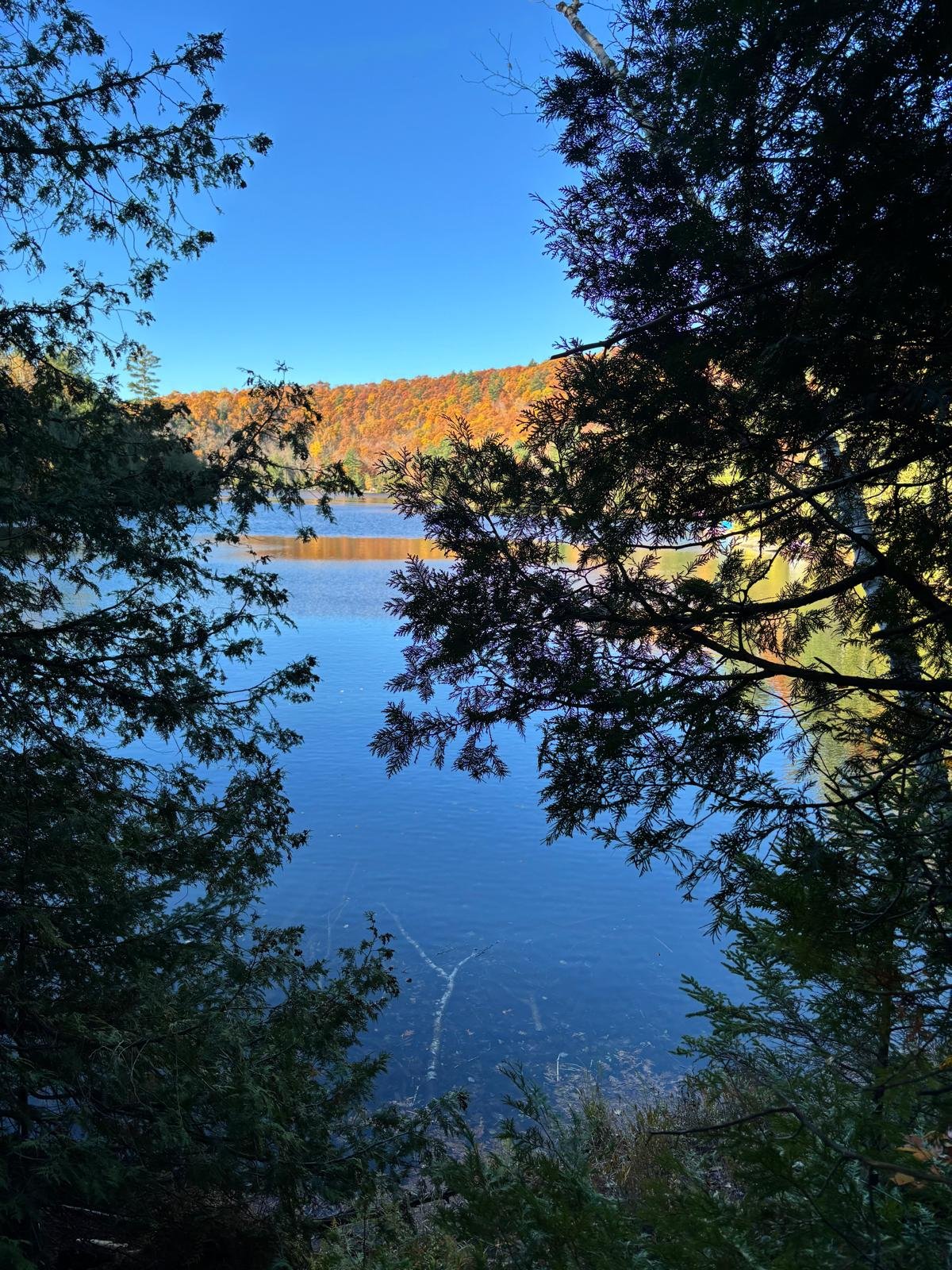 Water view
