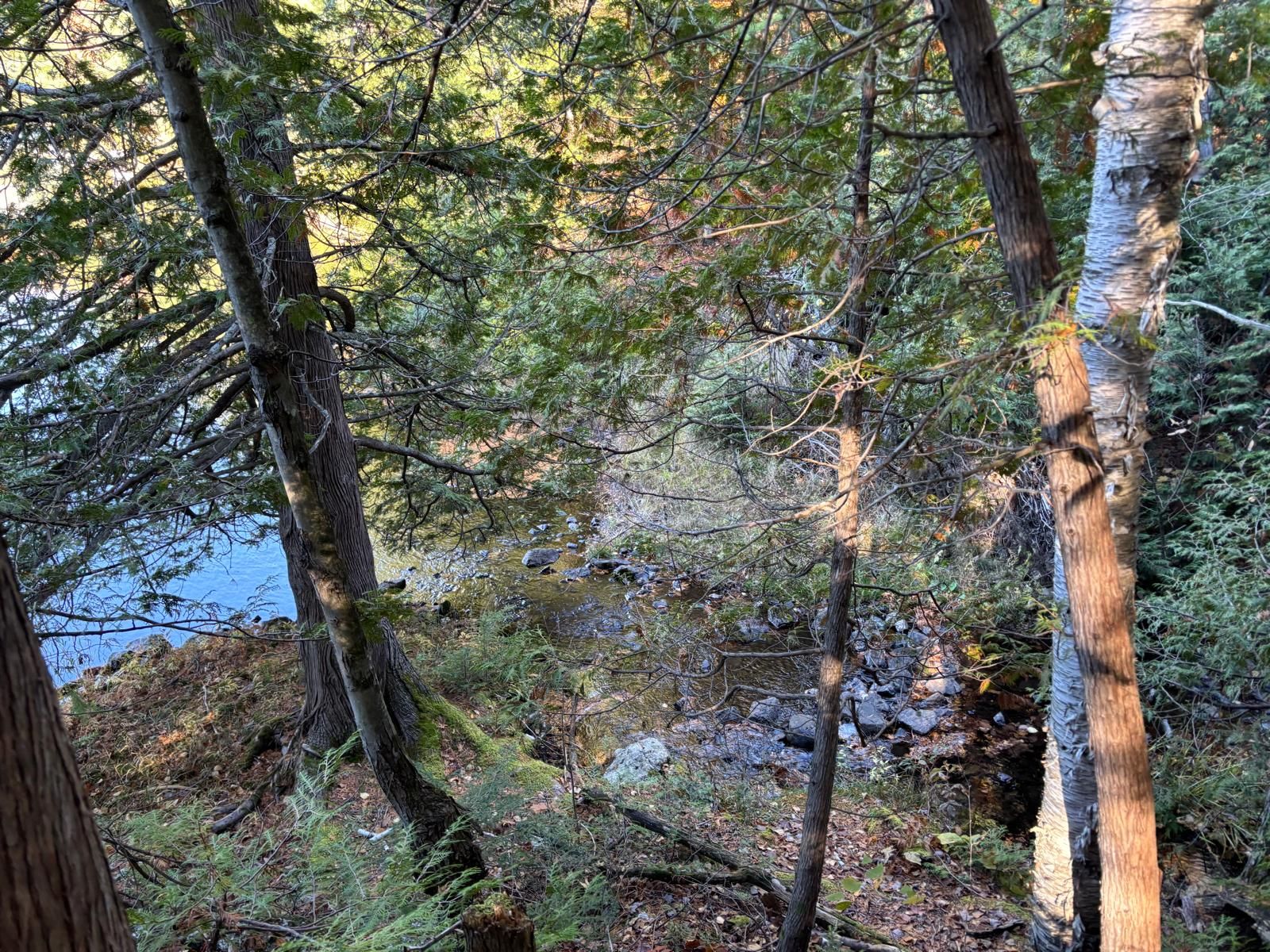 Overall view