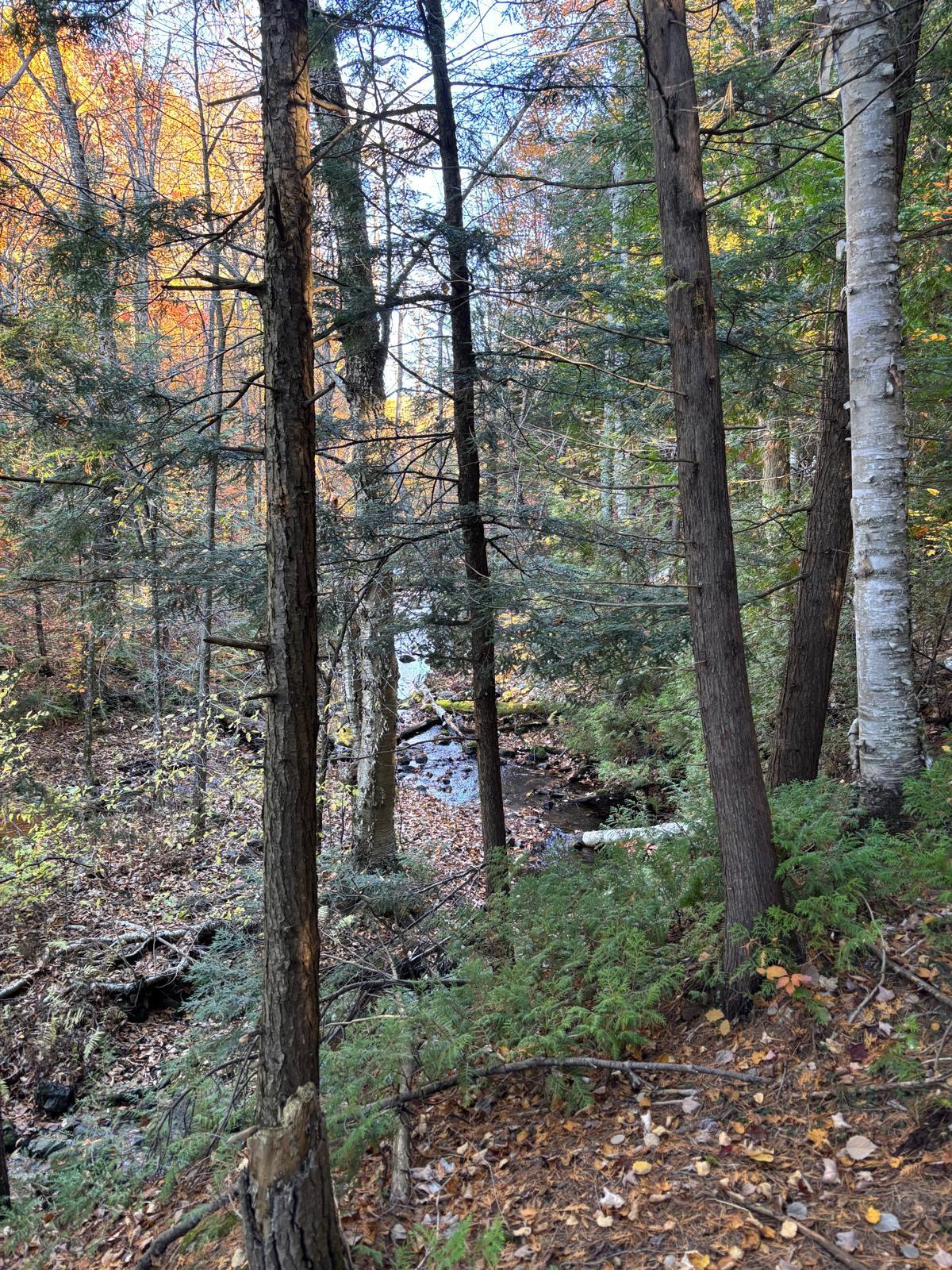 Overall view