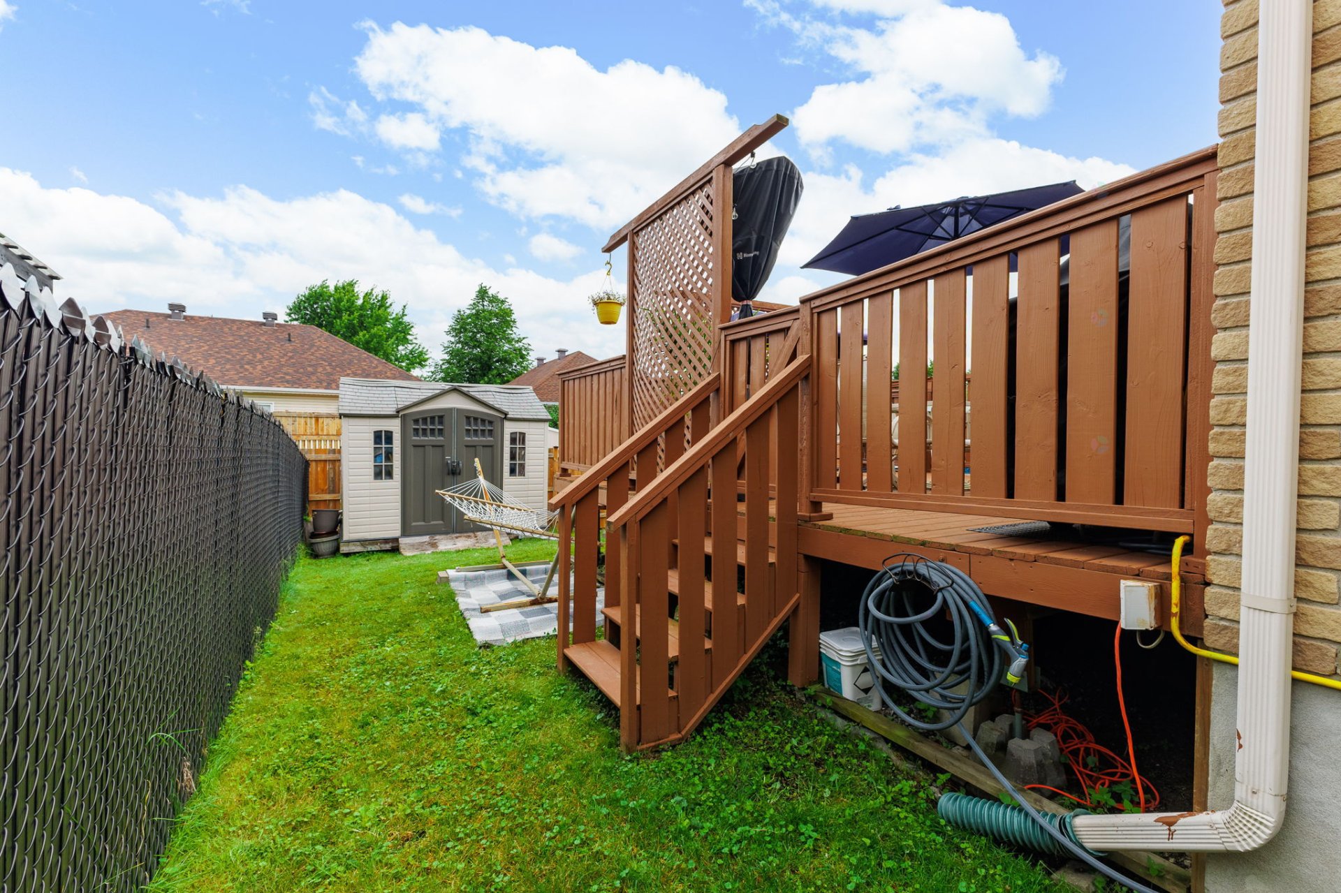 Backyard