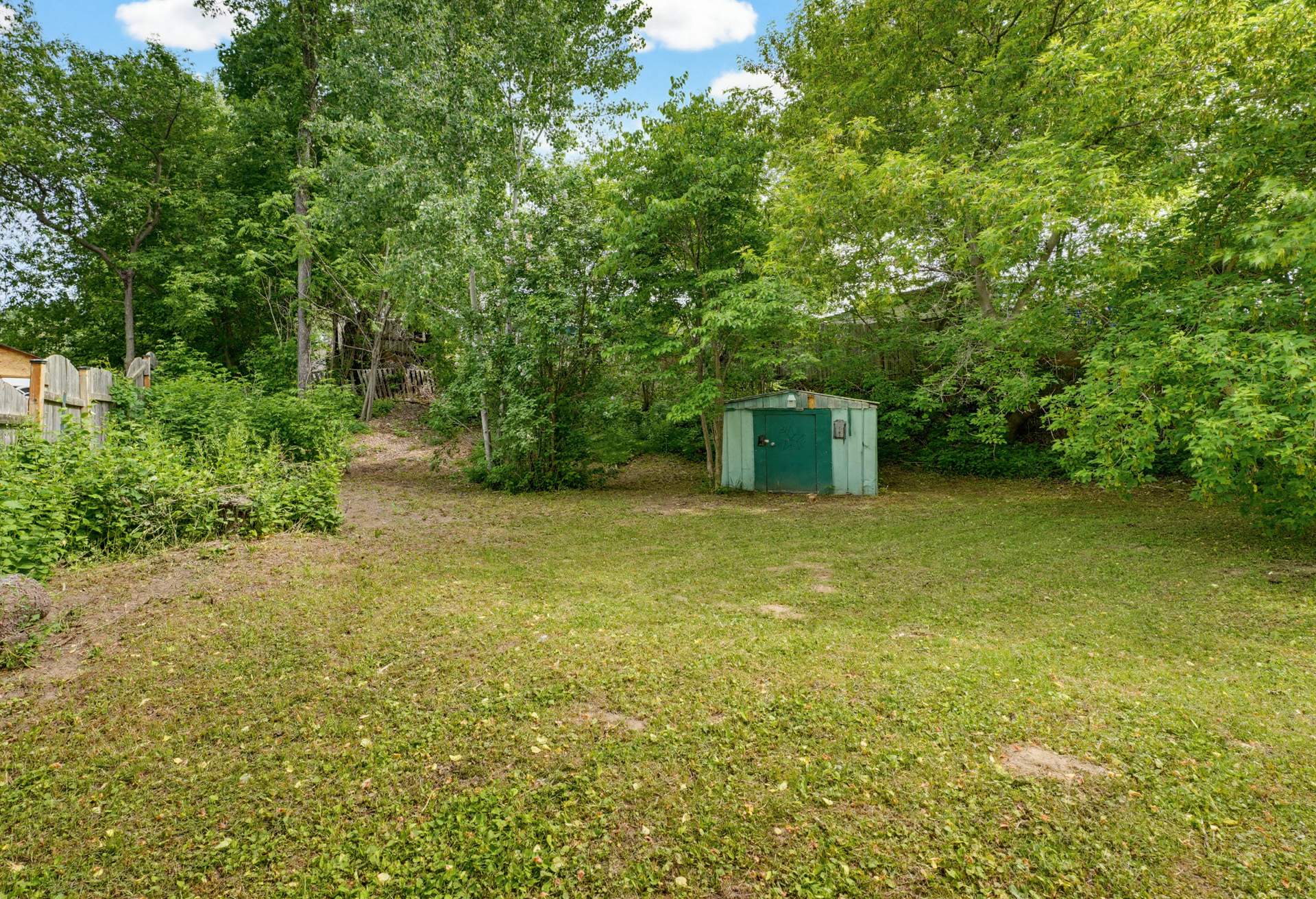 Backyard