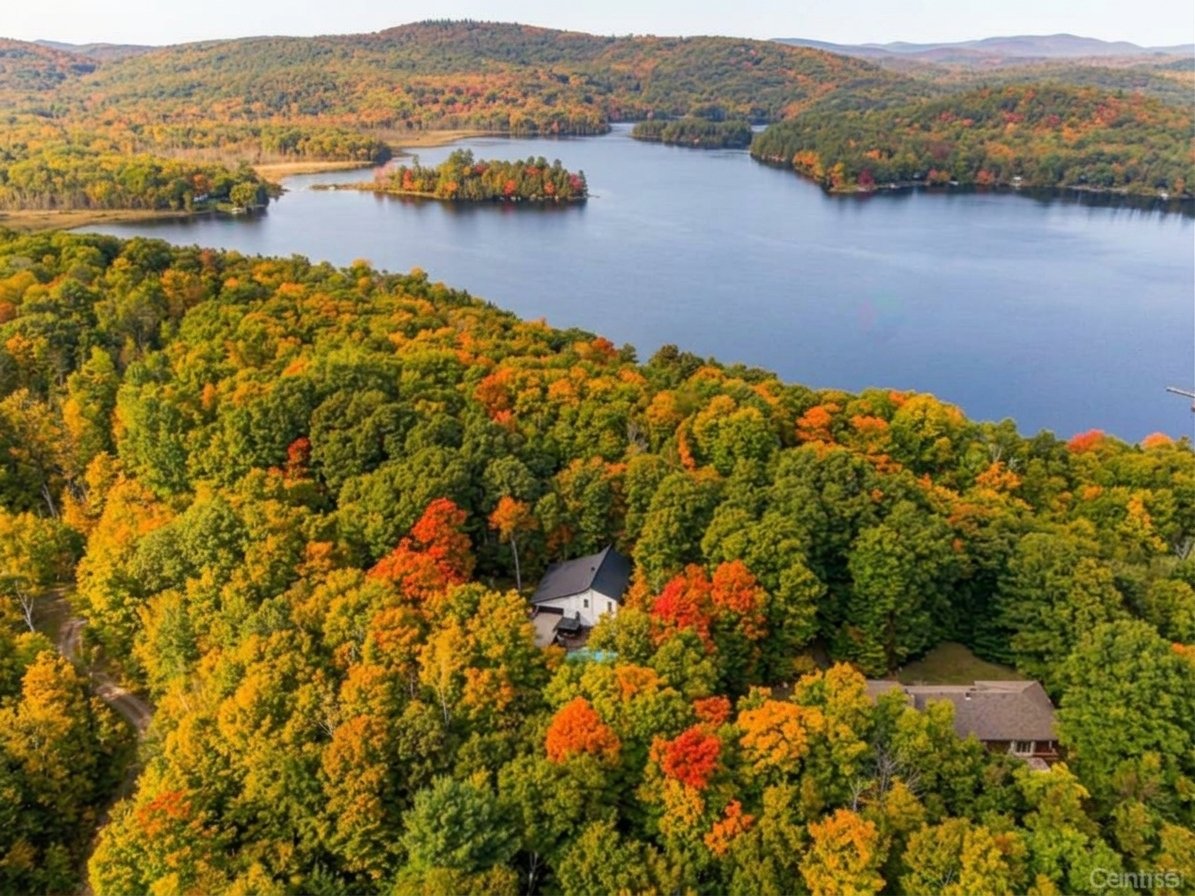 Aerial photo