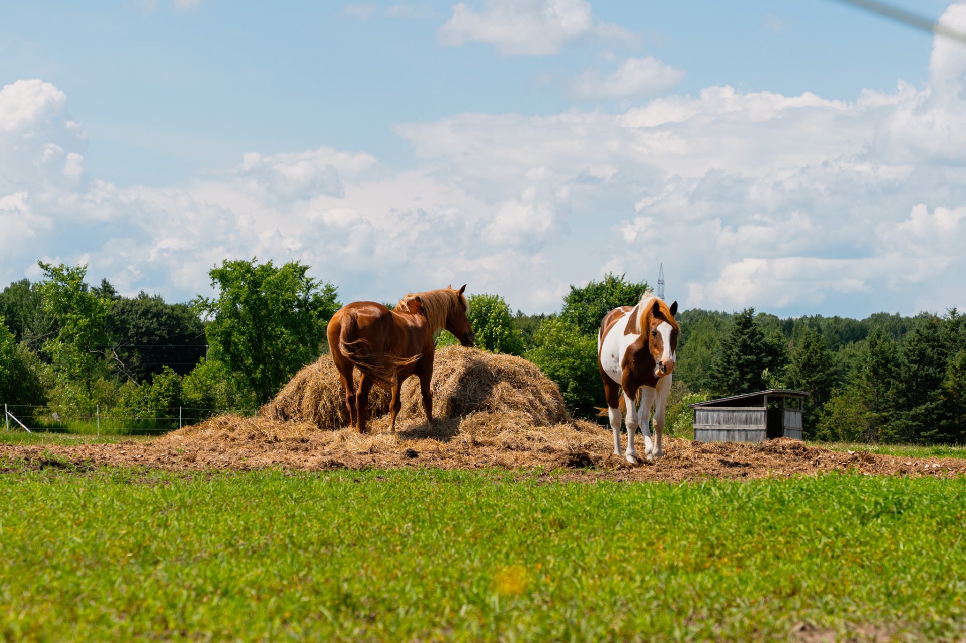 Land/Lot