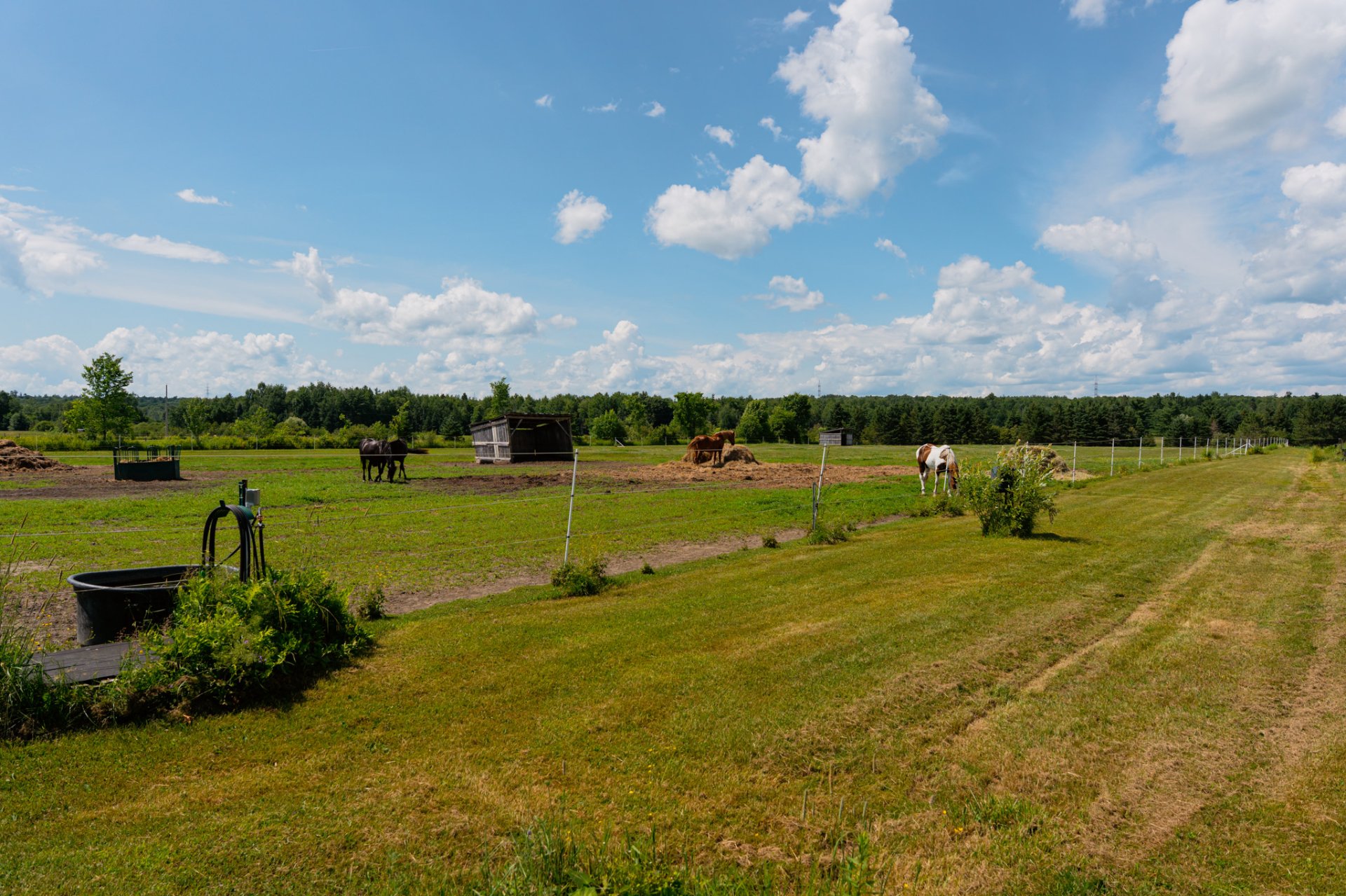 Land/Lot
