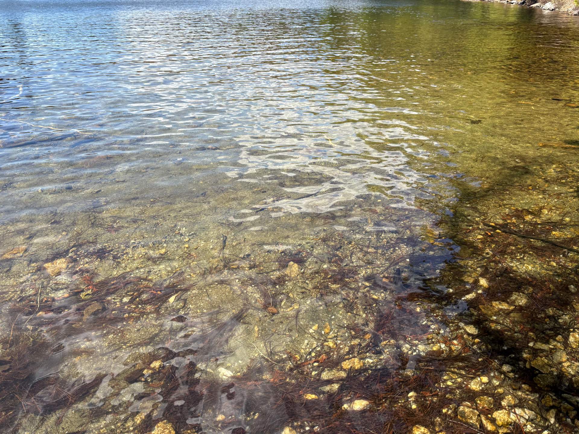 Waterfront