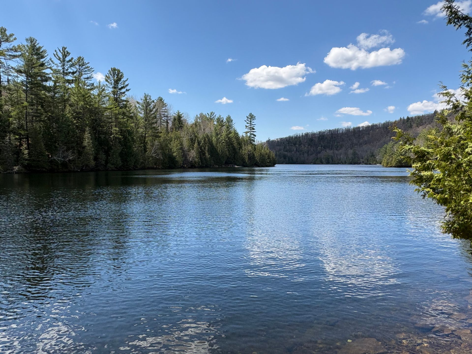 Water view