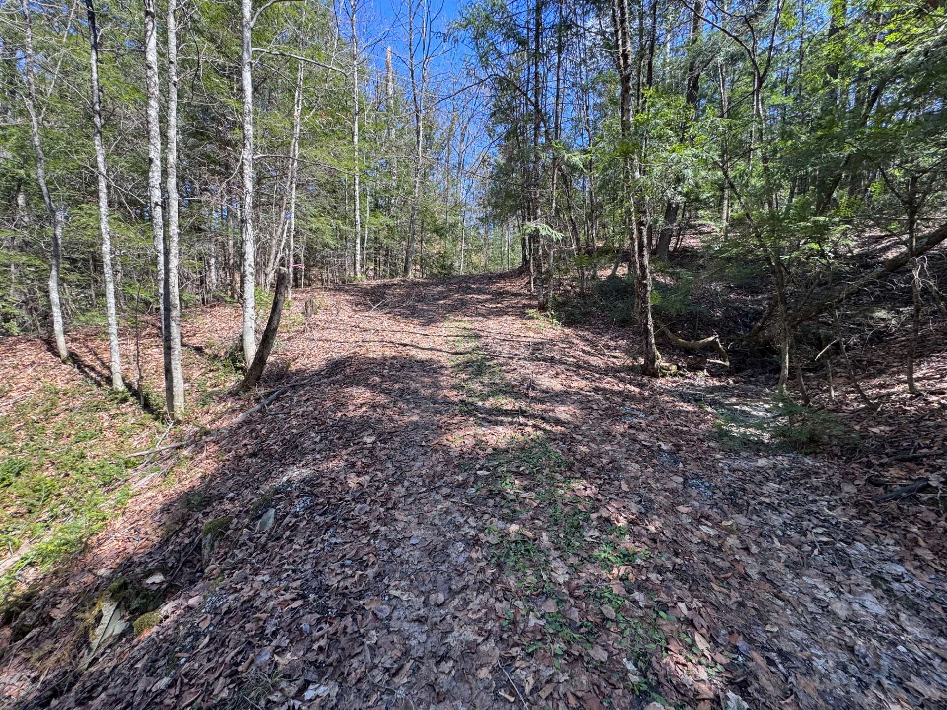 Autre - Allée/entrée