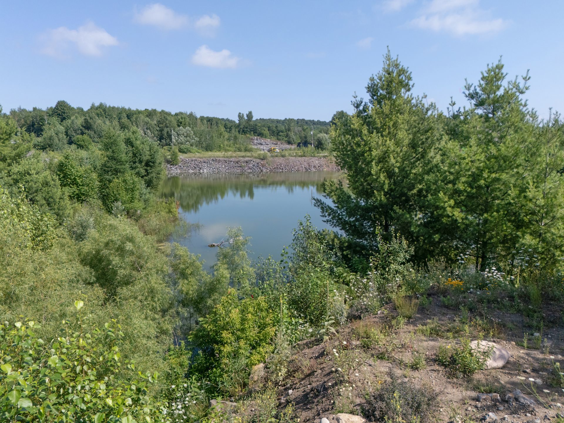 Land/Lot