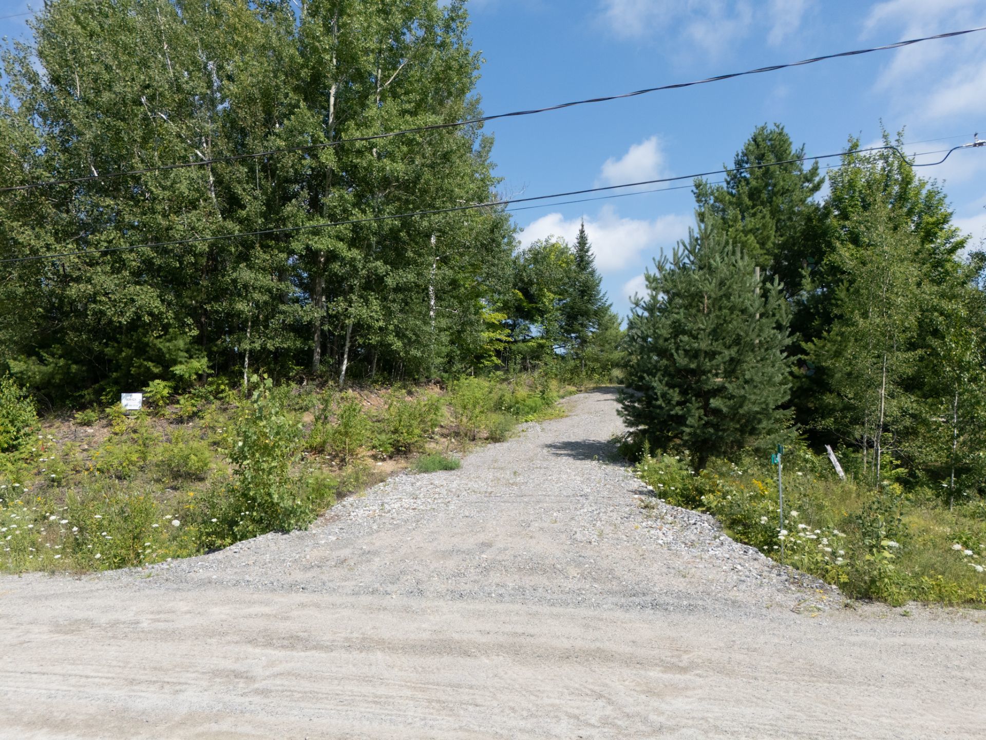 Land/Lot