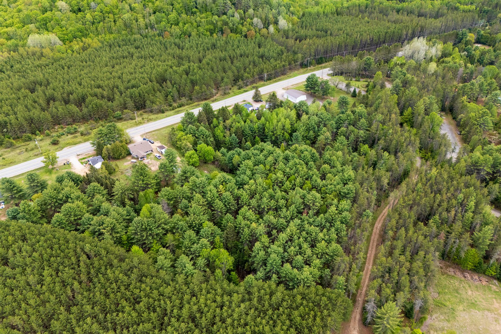 Aerial photo