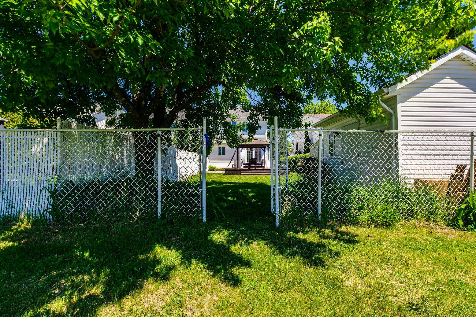 Backyard