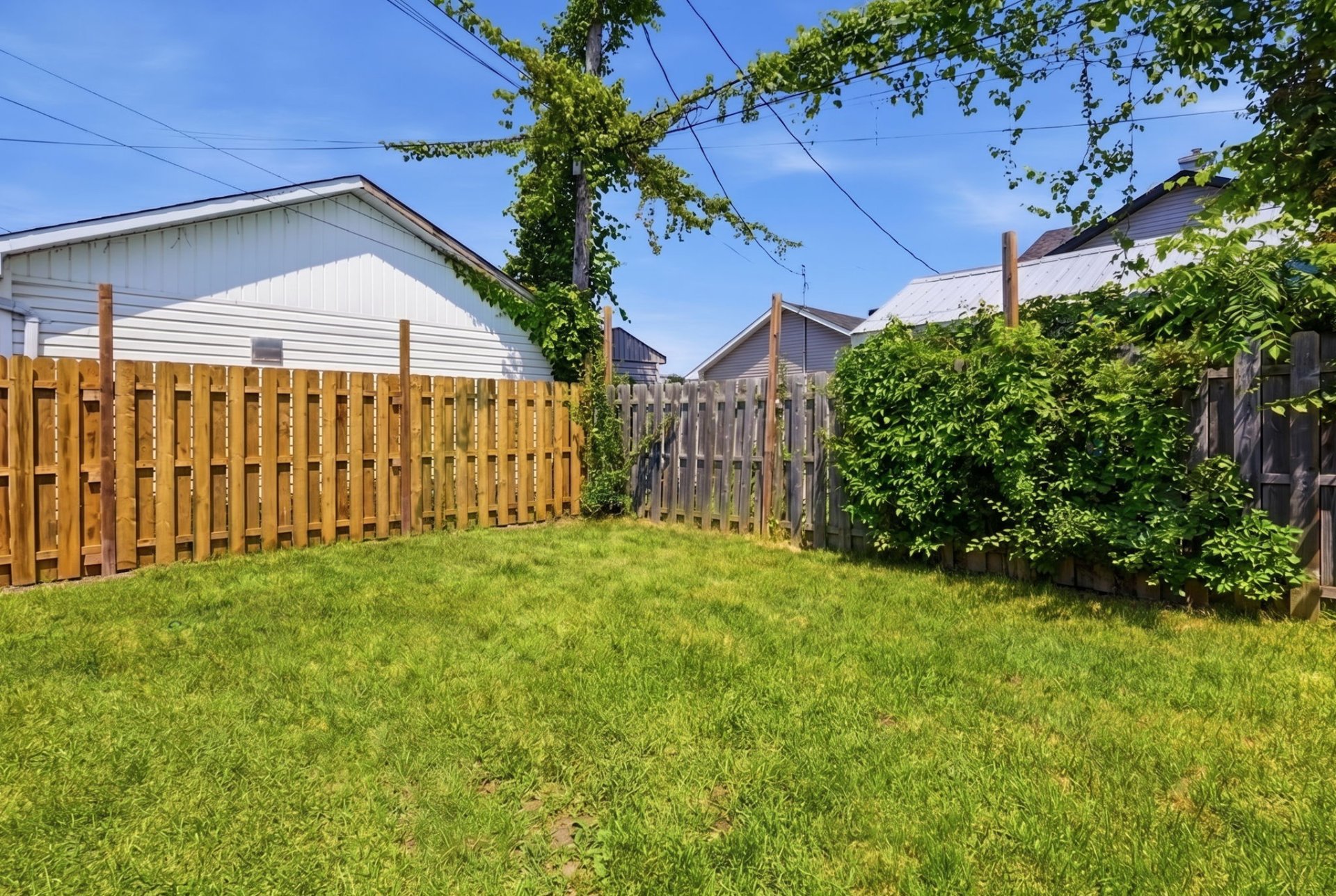 Backyard