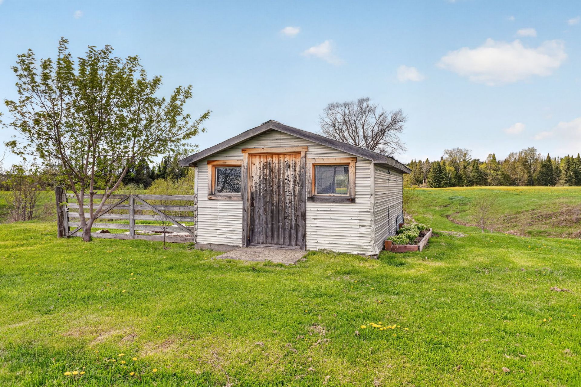 Shed