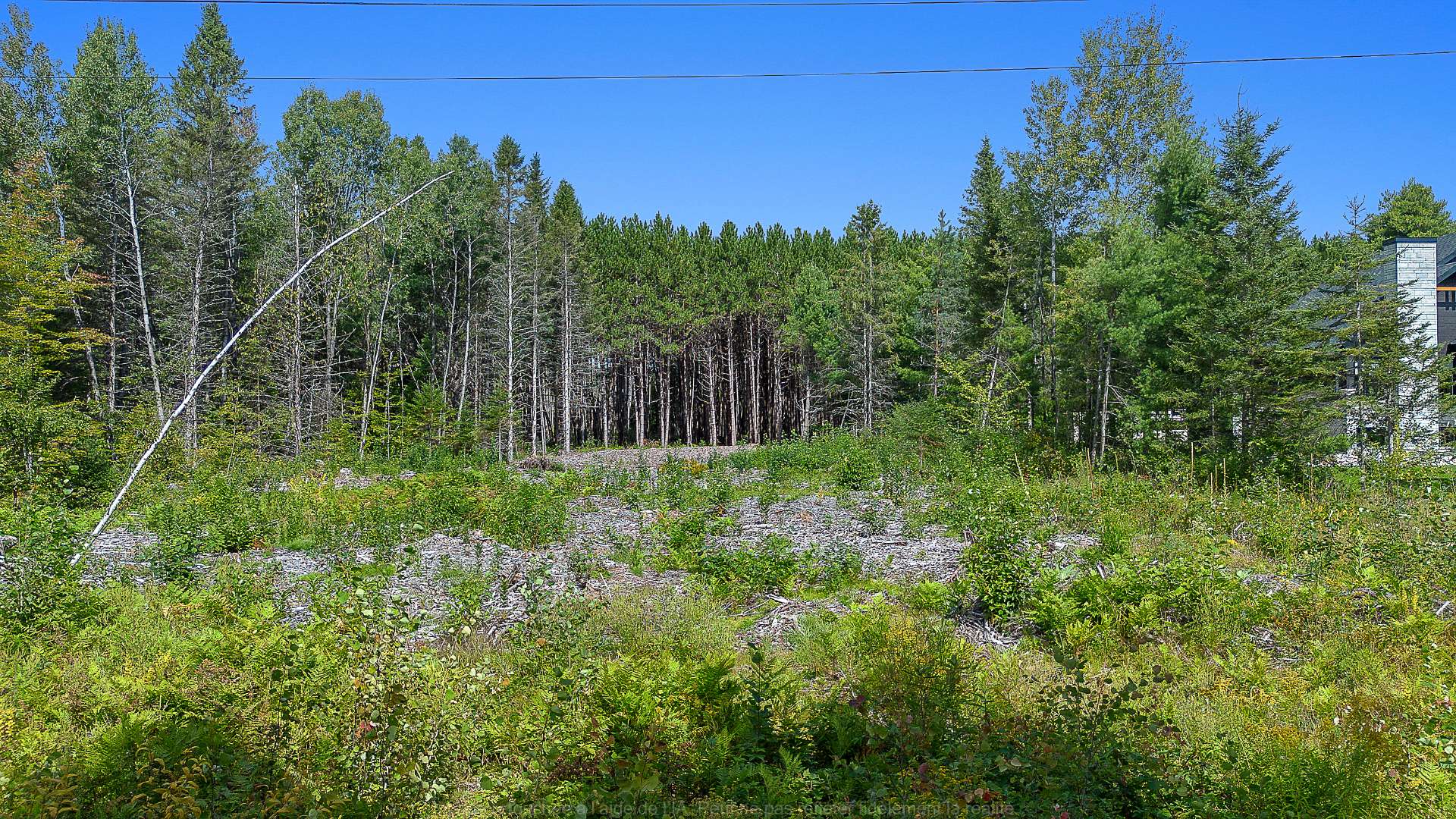 Overall view