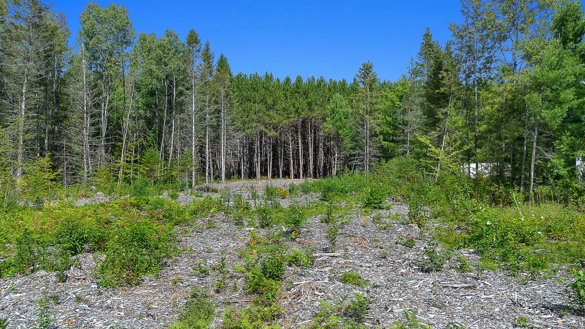 Overall view
