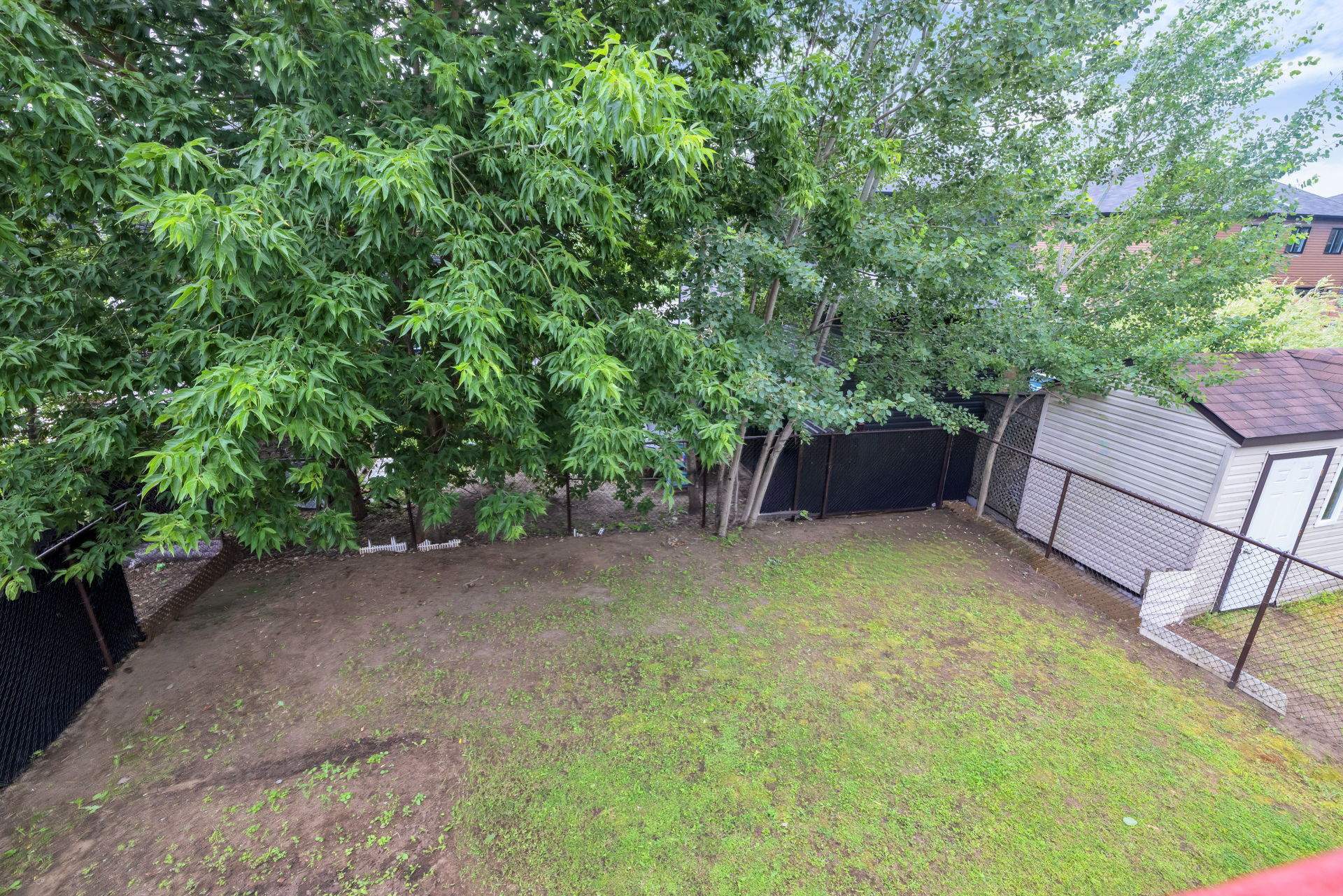 Backyard