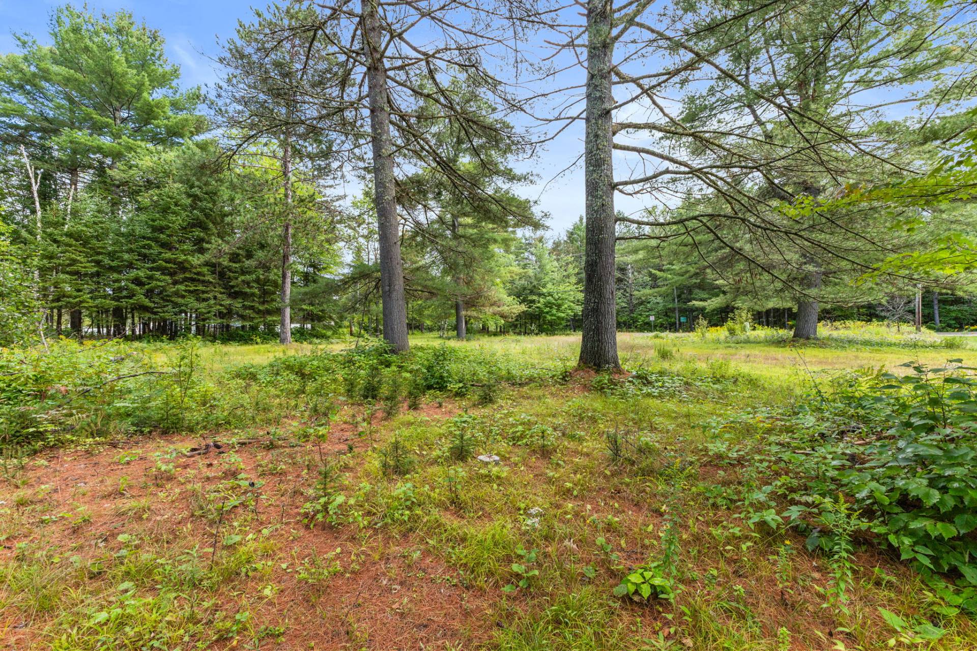 Land/Lot