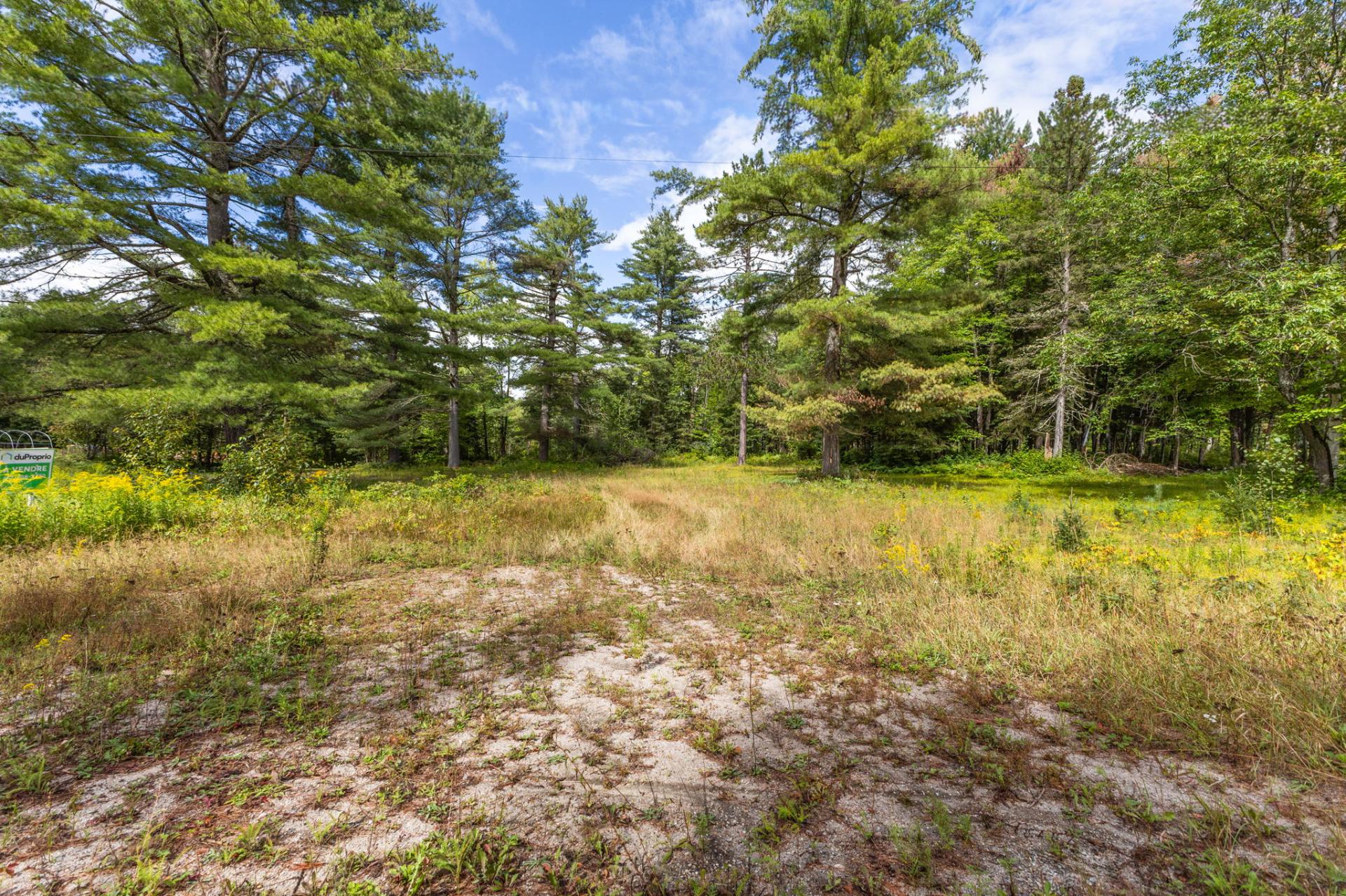 Land/Lot