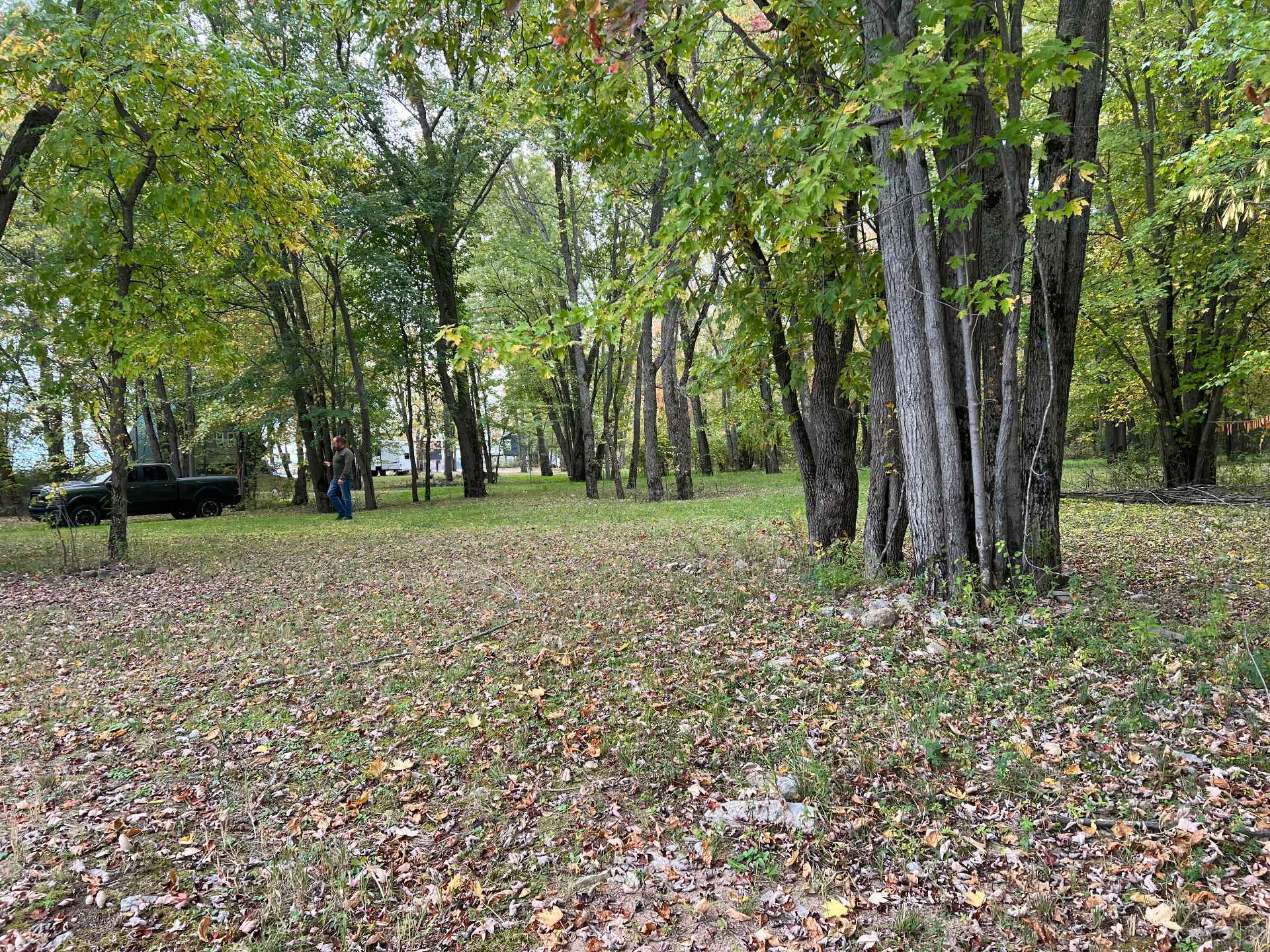 Wooded area
