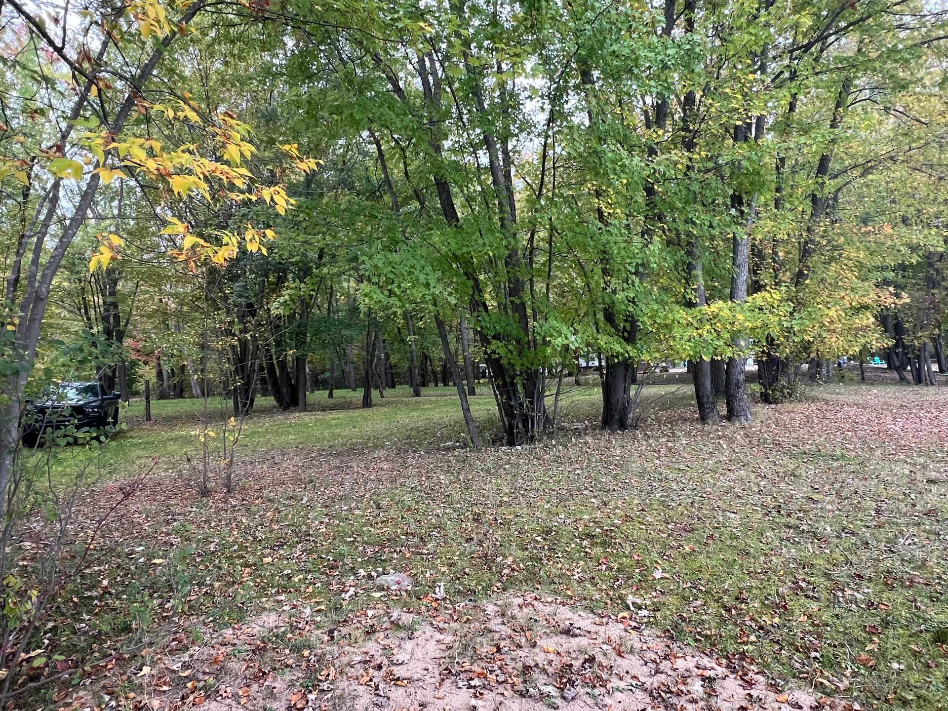 Wooded area