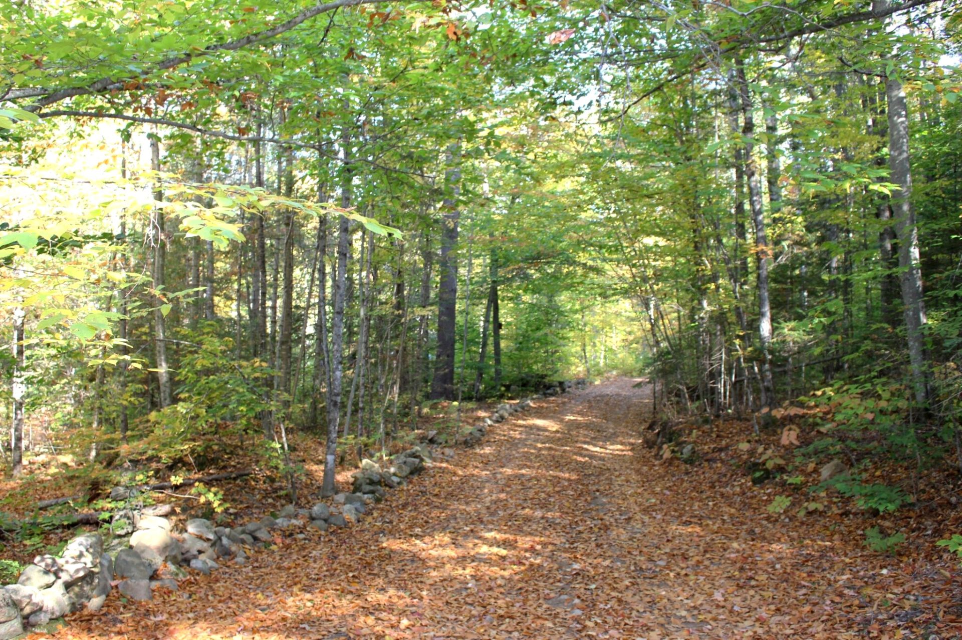 Autre - Chemin Privé