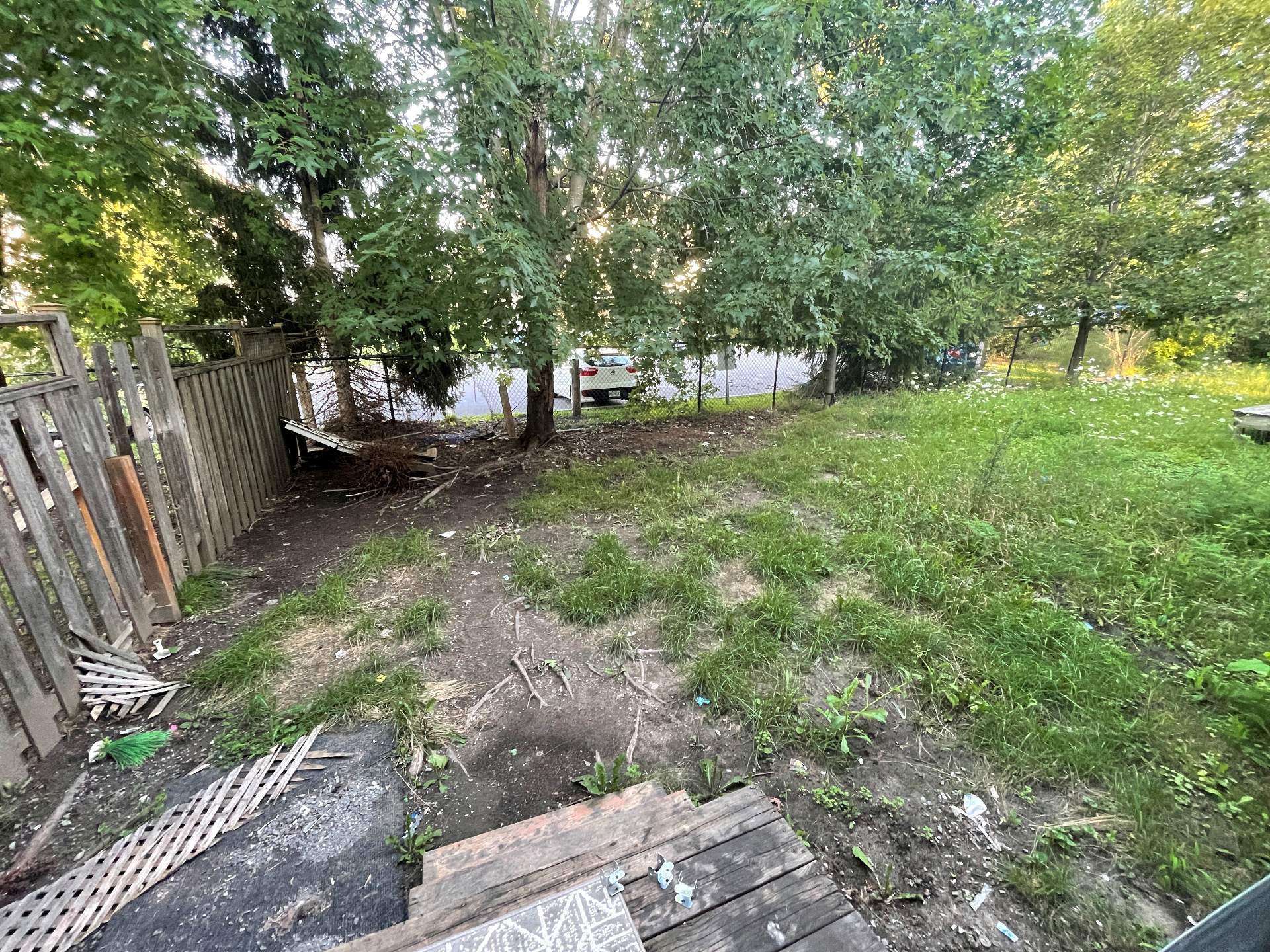 Backyard