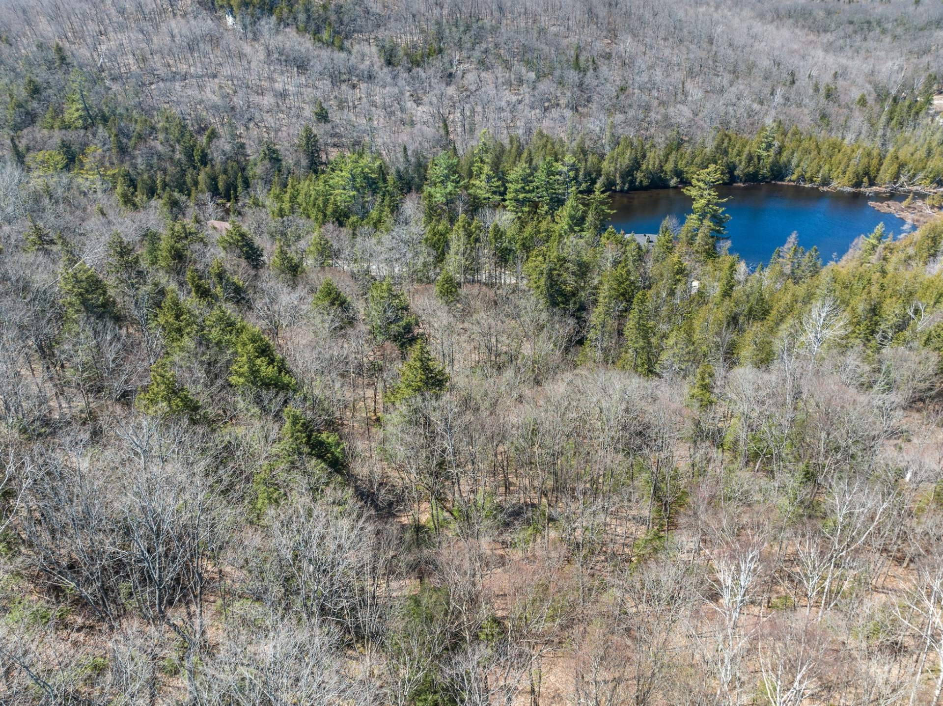 Land/Lot