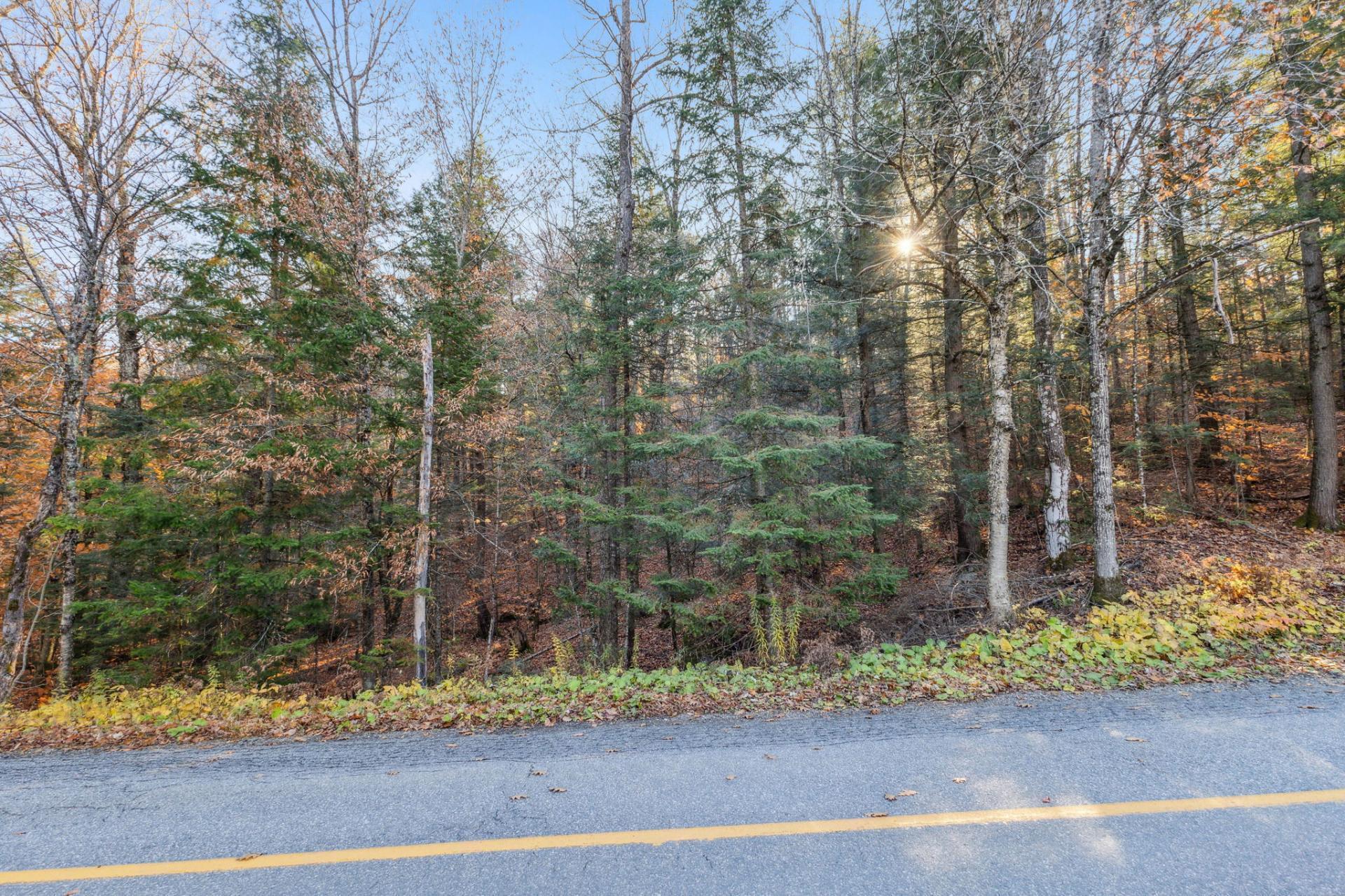 Land/Lot