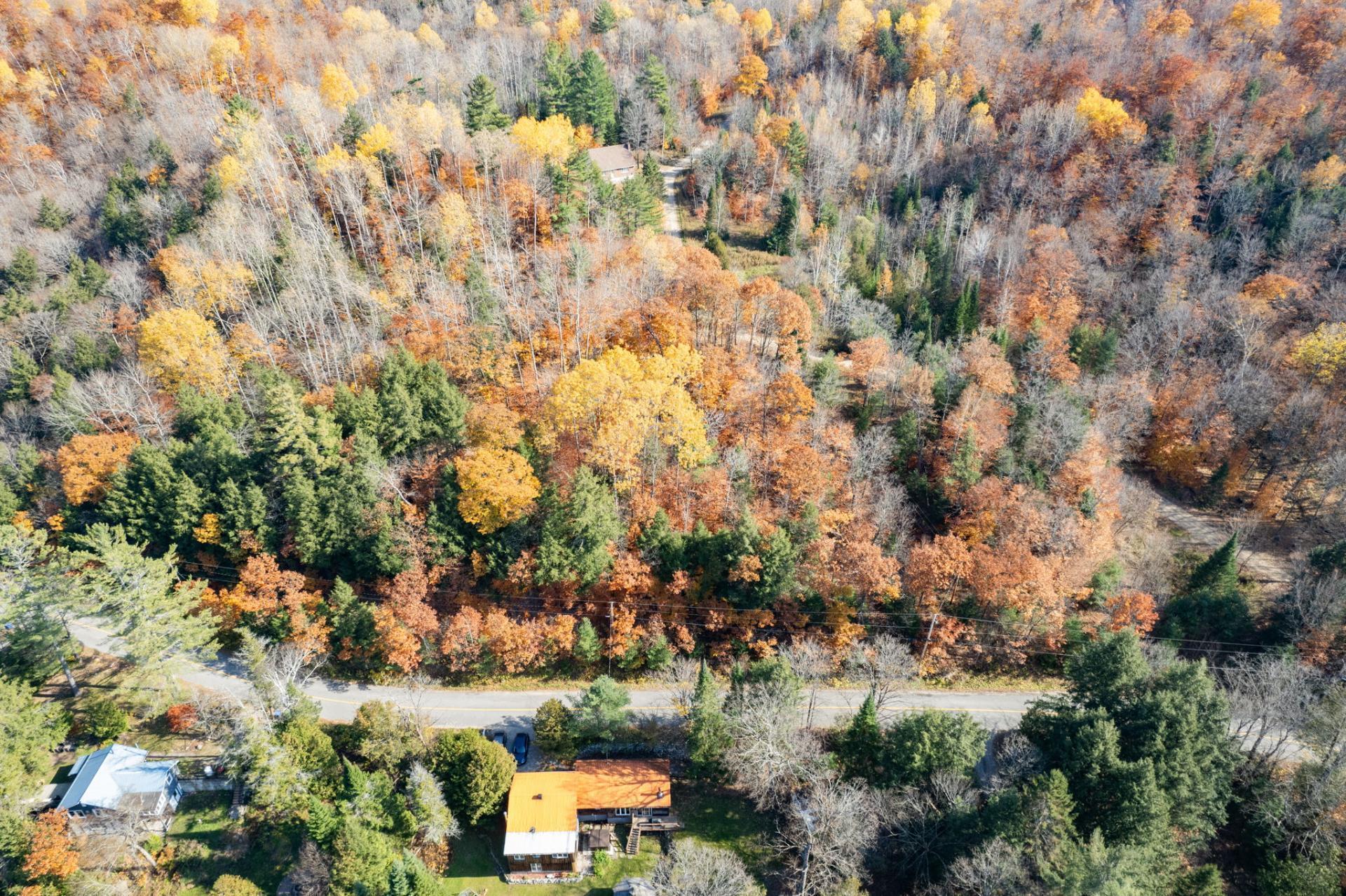 Land/Lot
