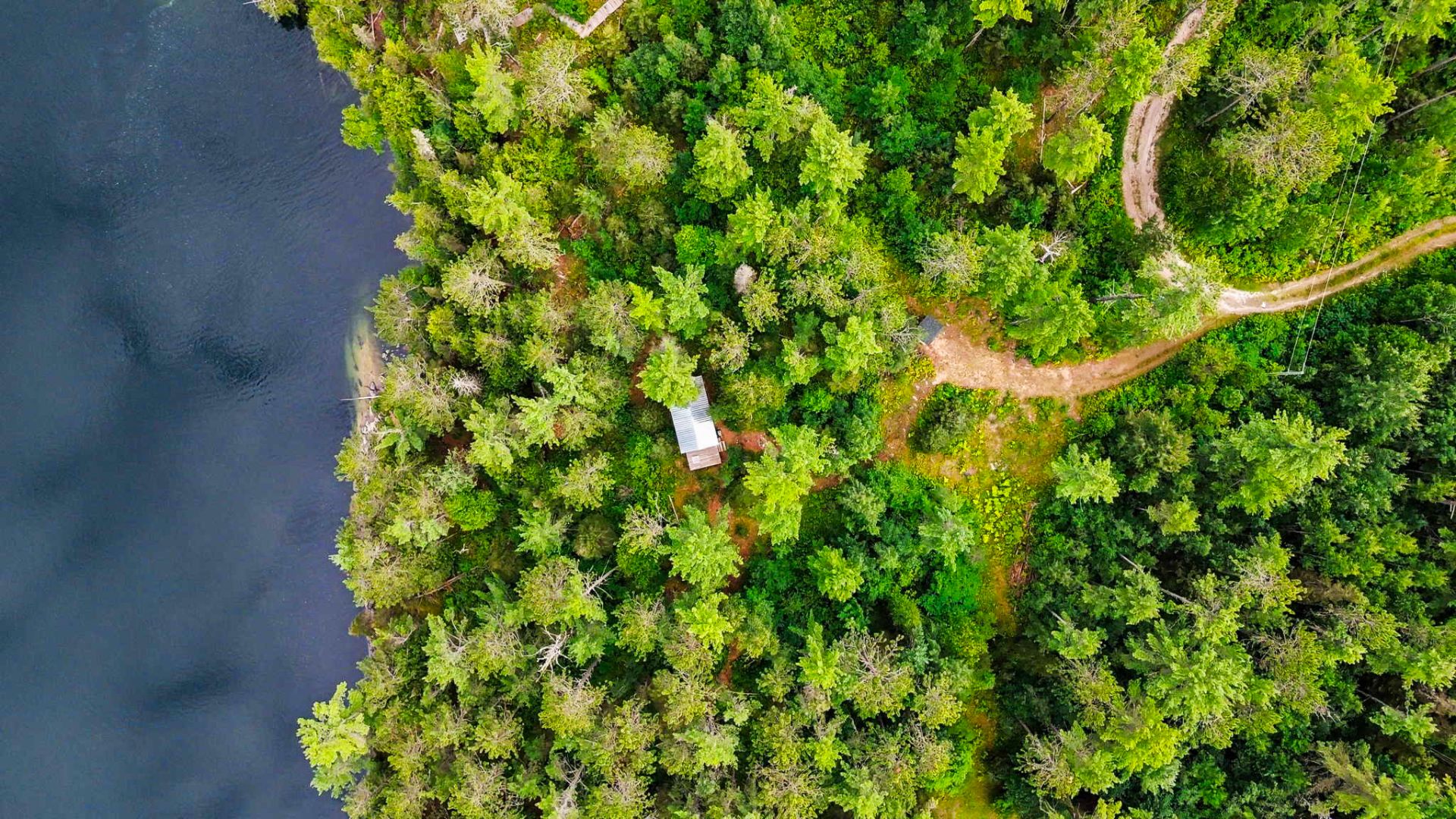 Aerial photo