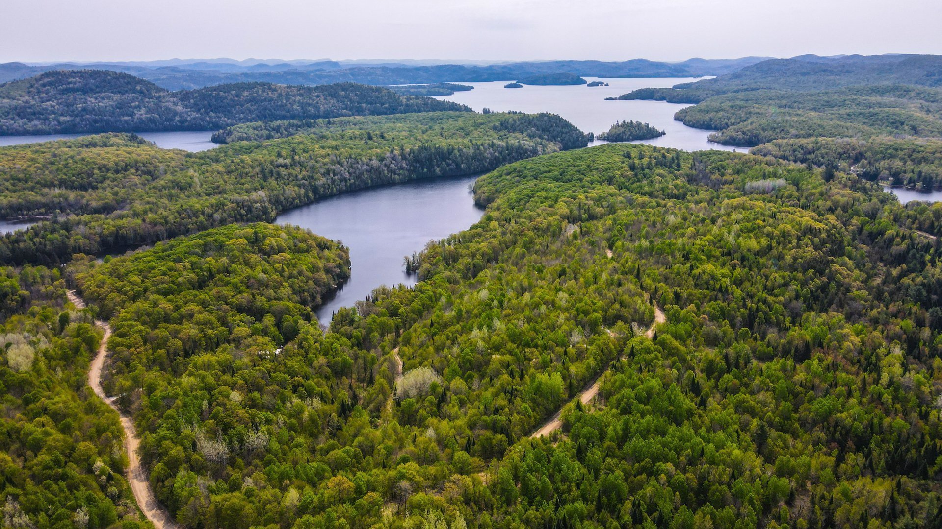 Aerial photo