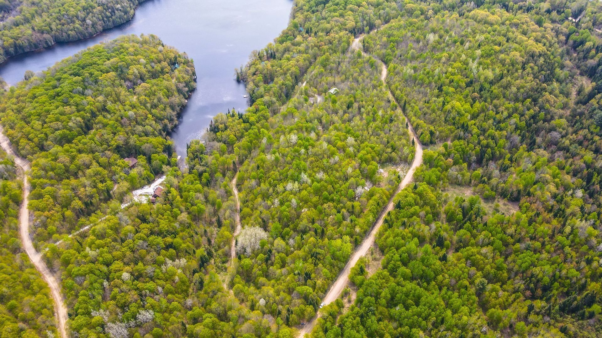 Aerial photo