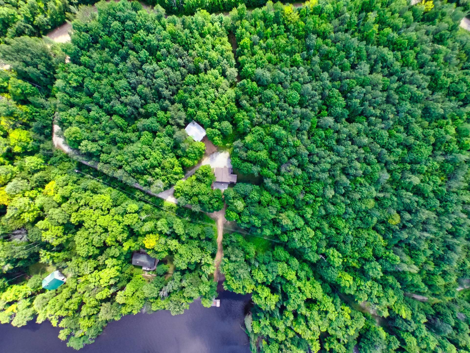 Overall view