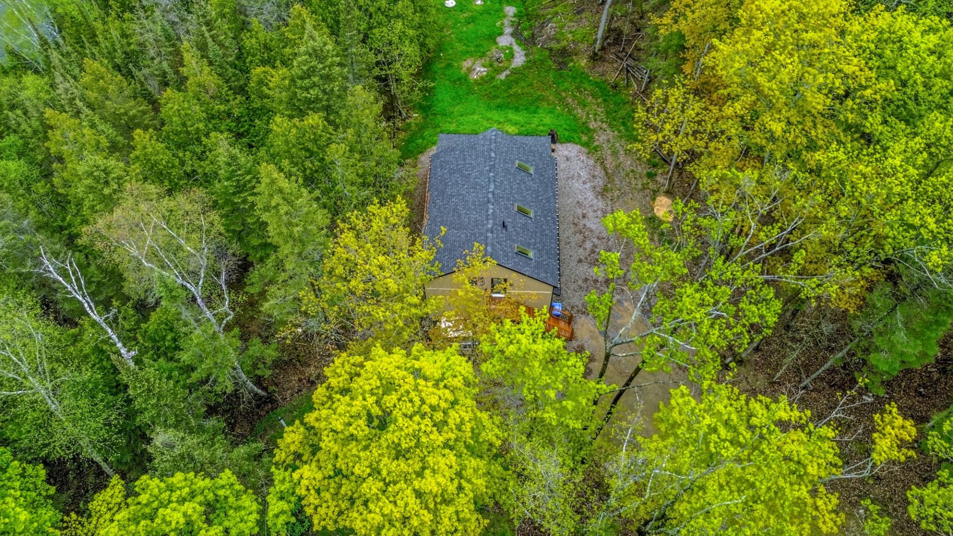 Aerial photo