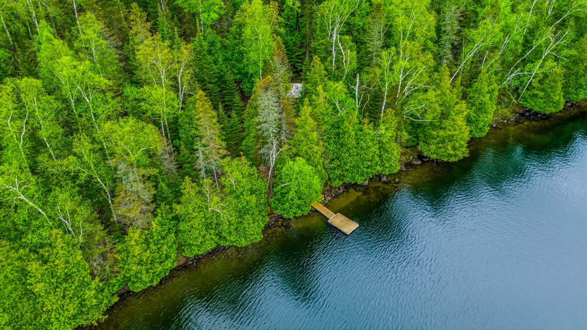 Aerial photo