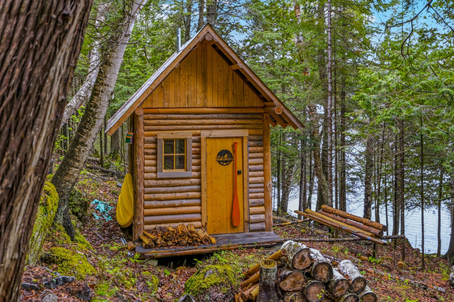 Shed