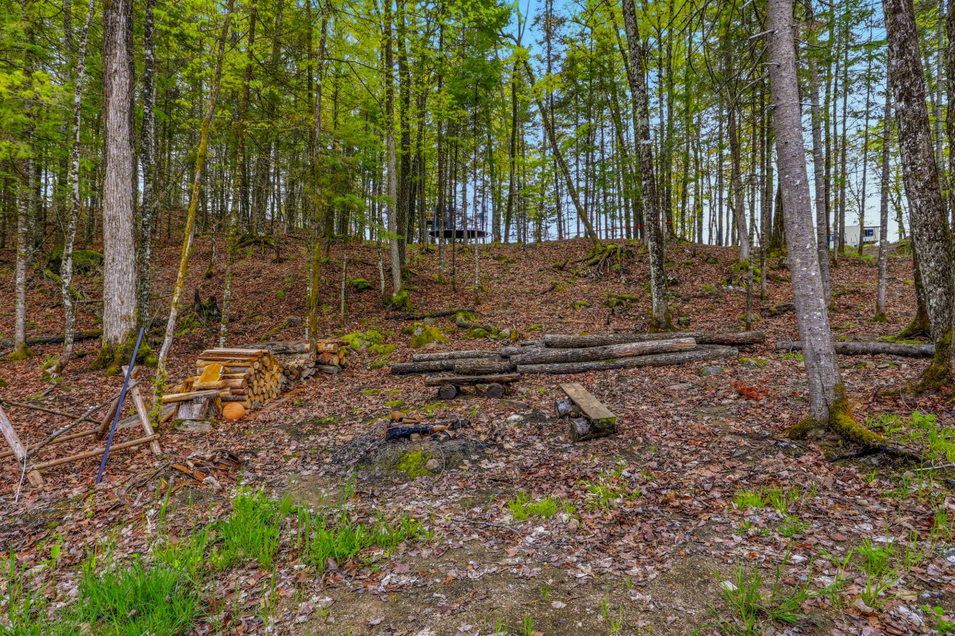 Land/Lot