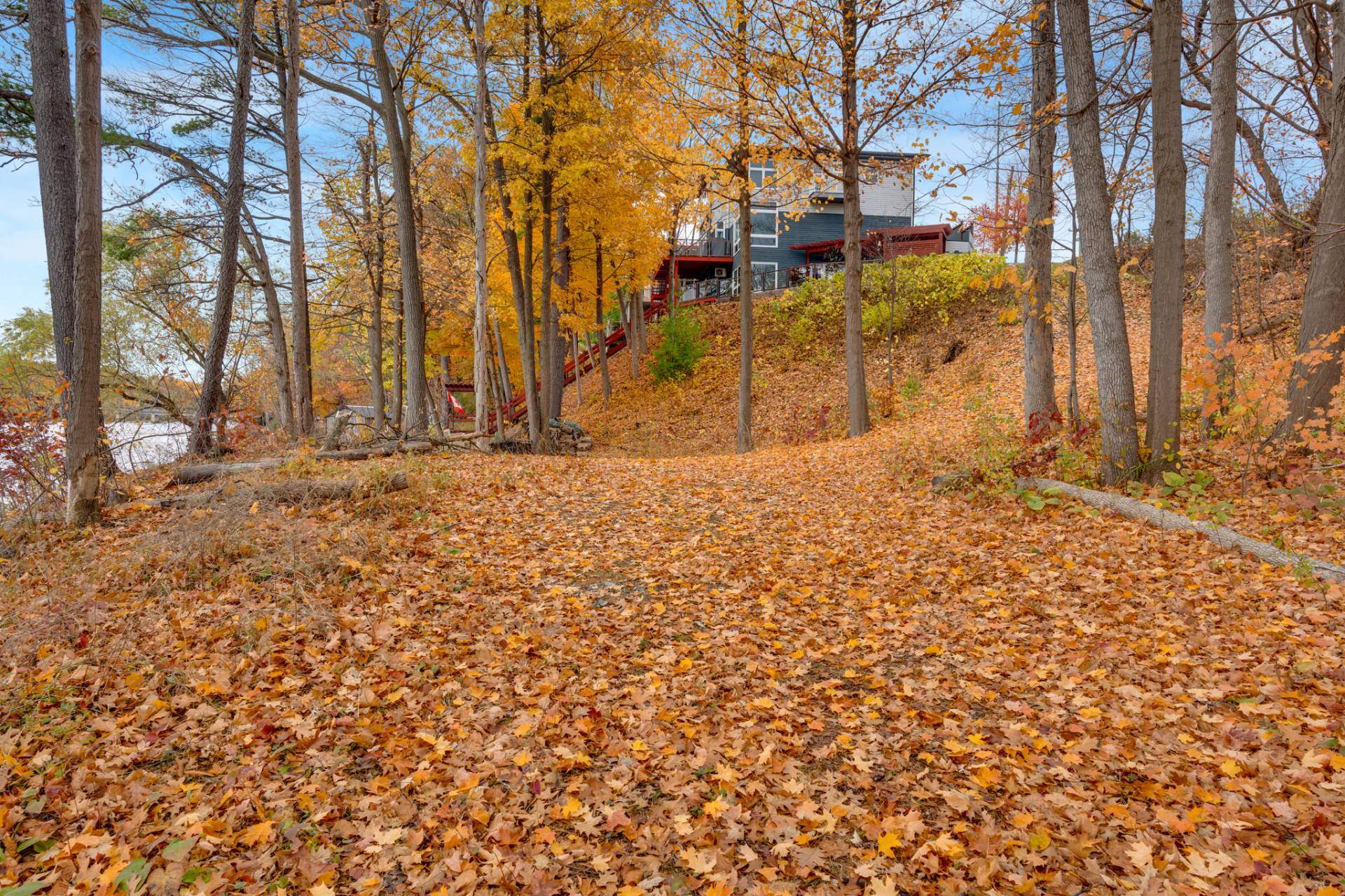 Extérieur - Terrain vacant à gauche