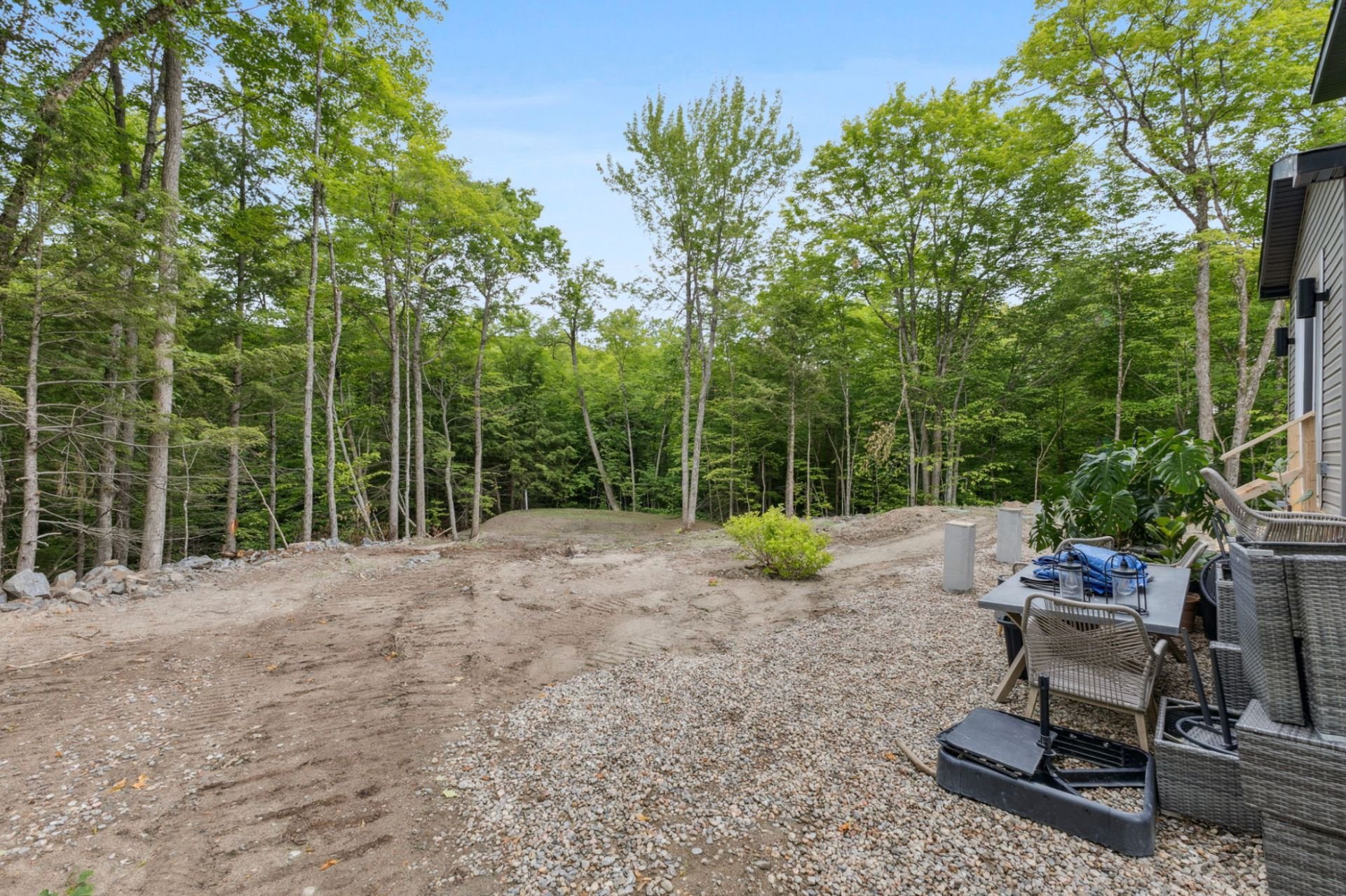 Backyard