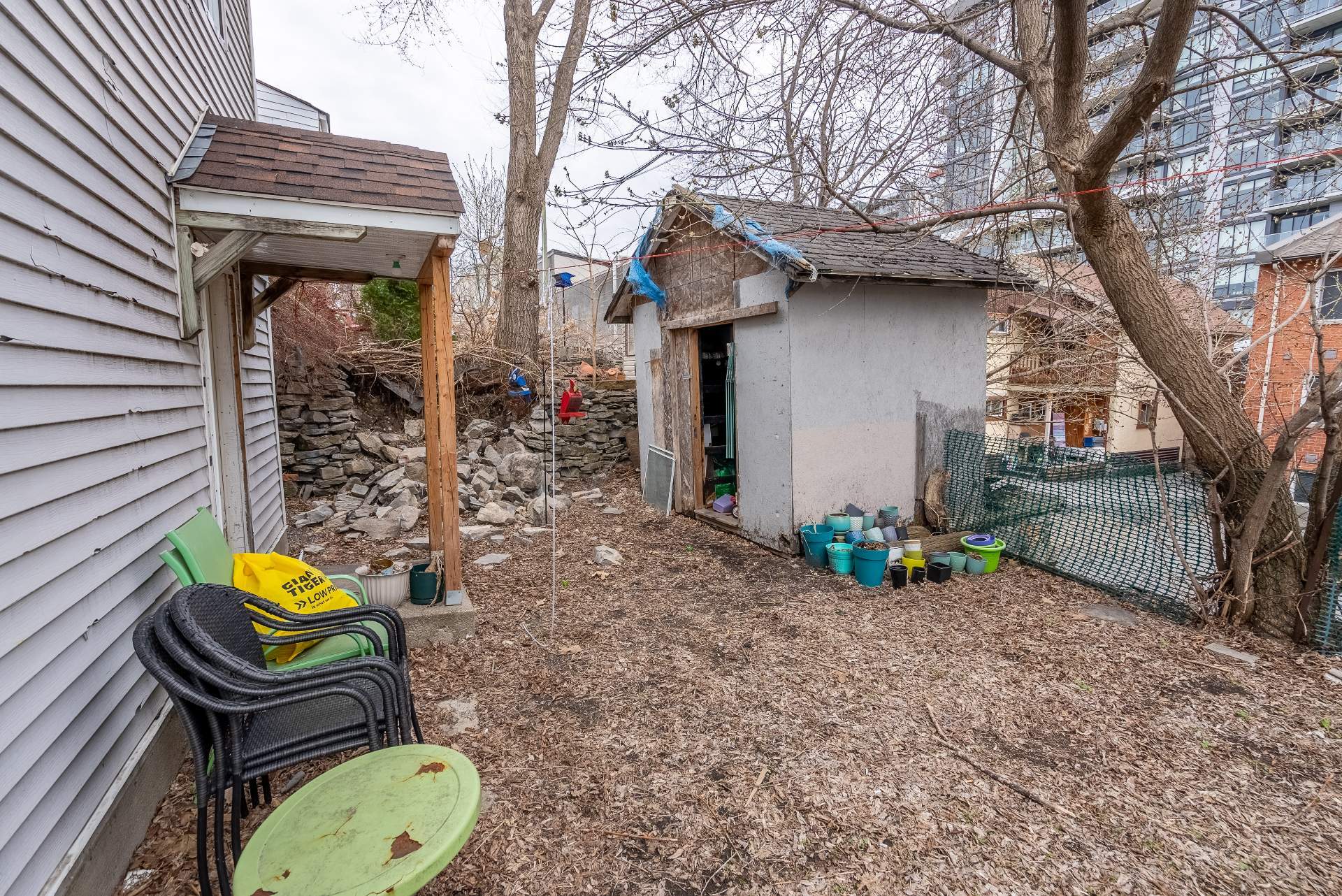 Backyard