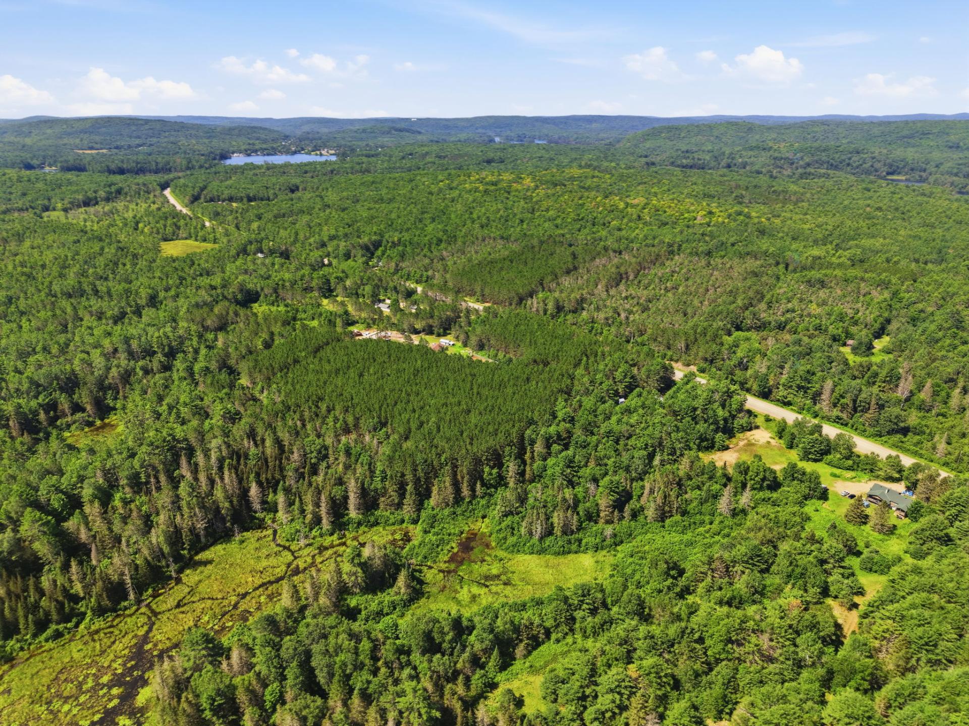 Aerial photo
