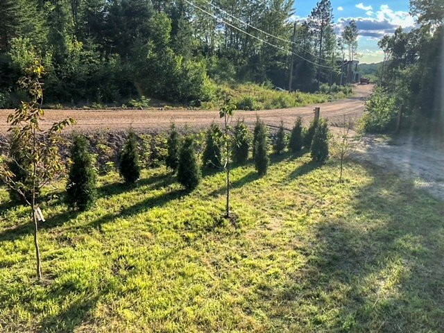 Land/Lot