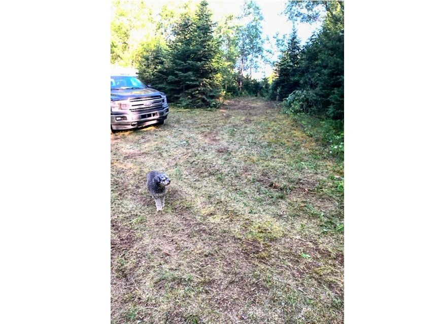 Land/Lot