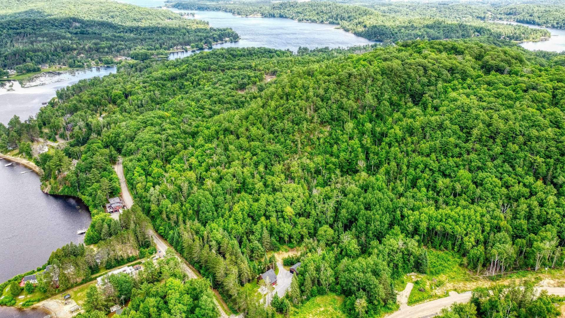 Aerial photo