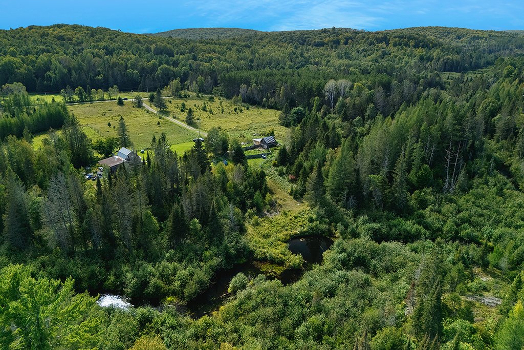 Aerial photo