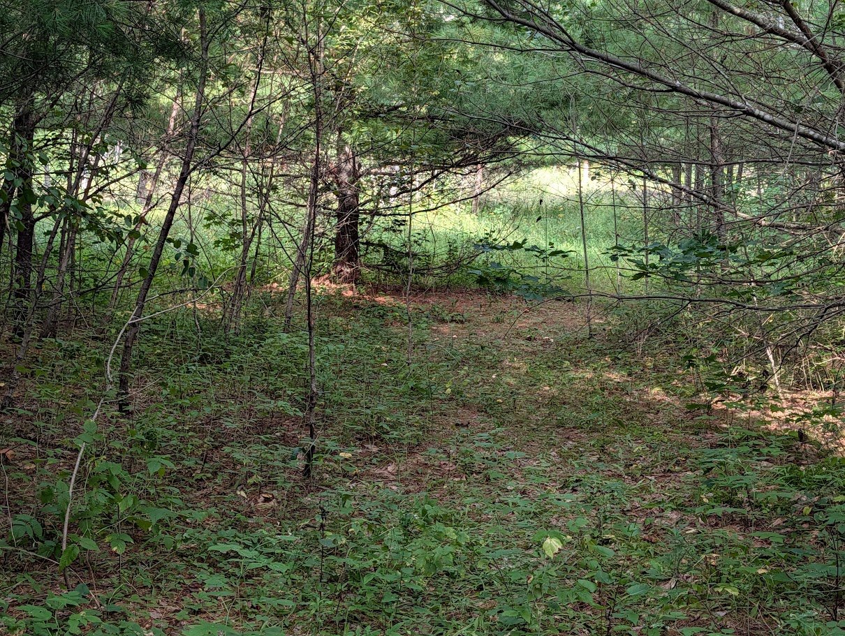 Land/Lot