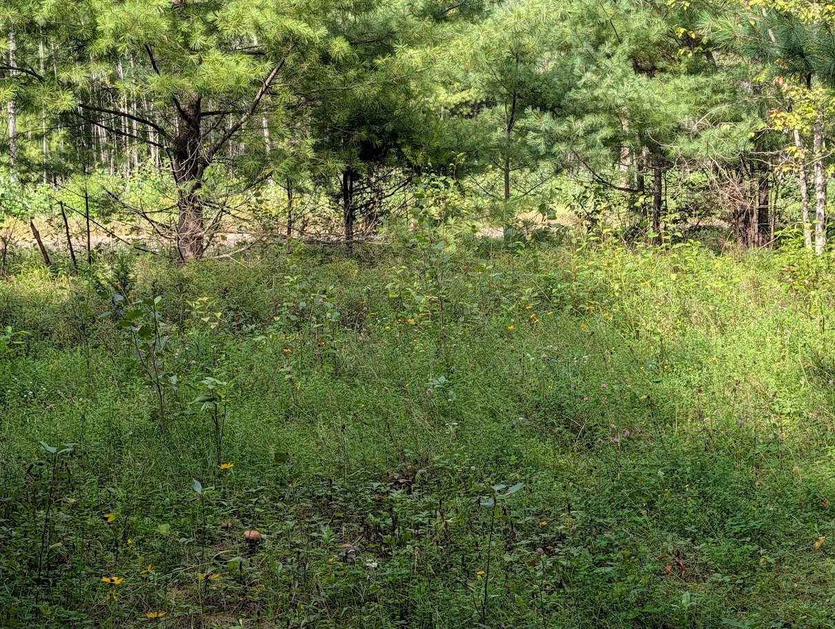 Land/Lot