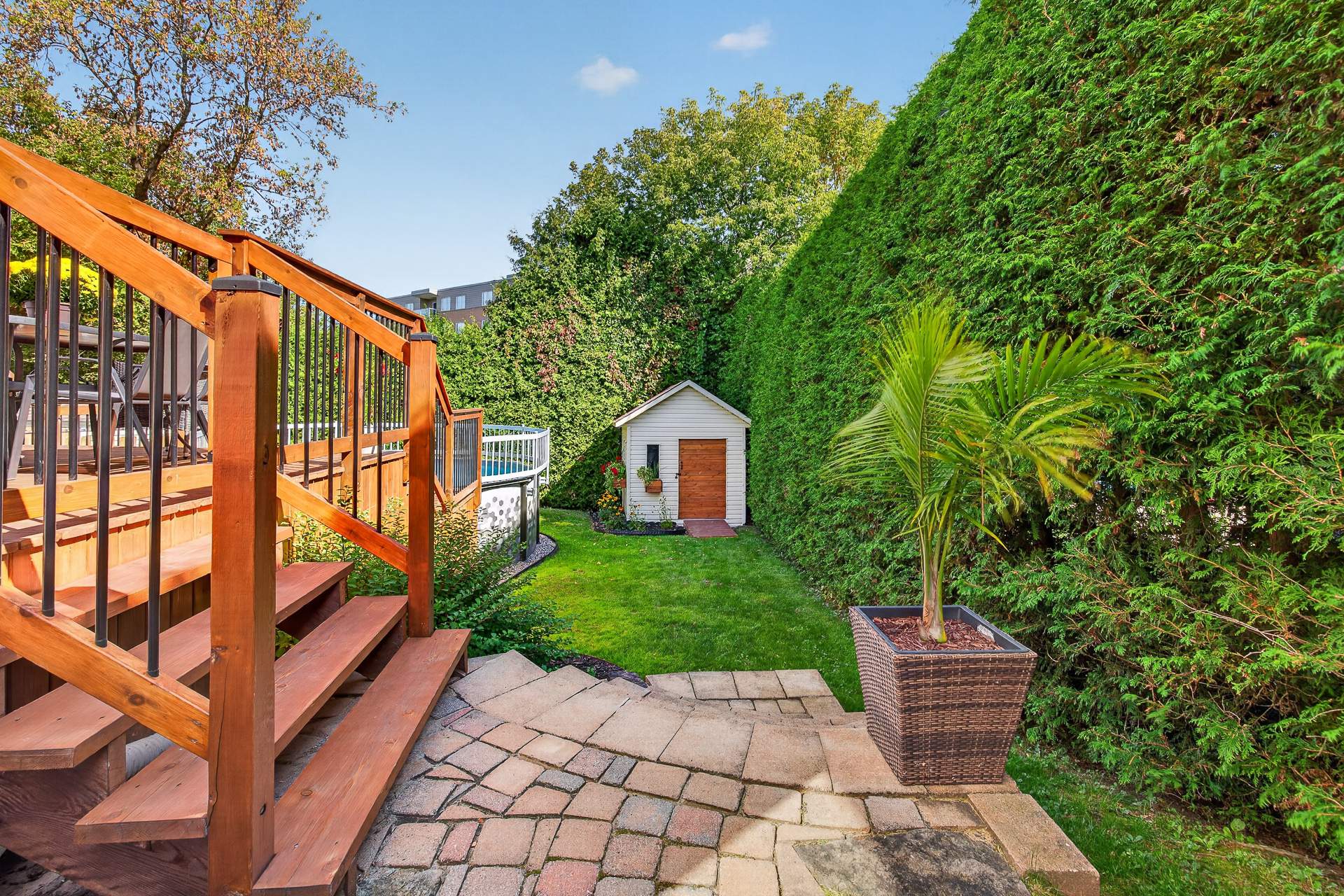 Backyard